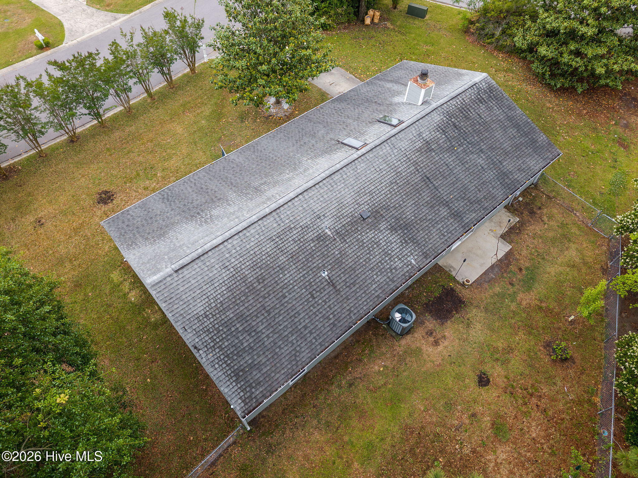 100570195 | Photo 33