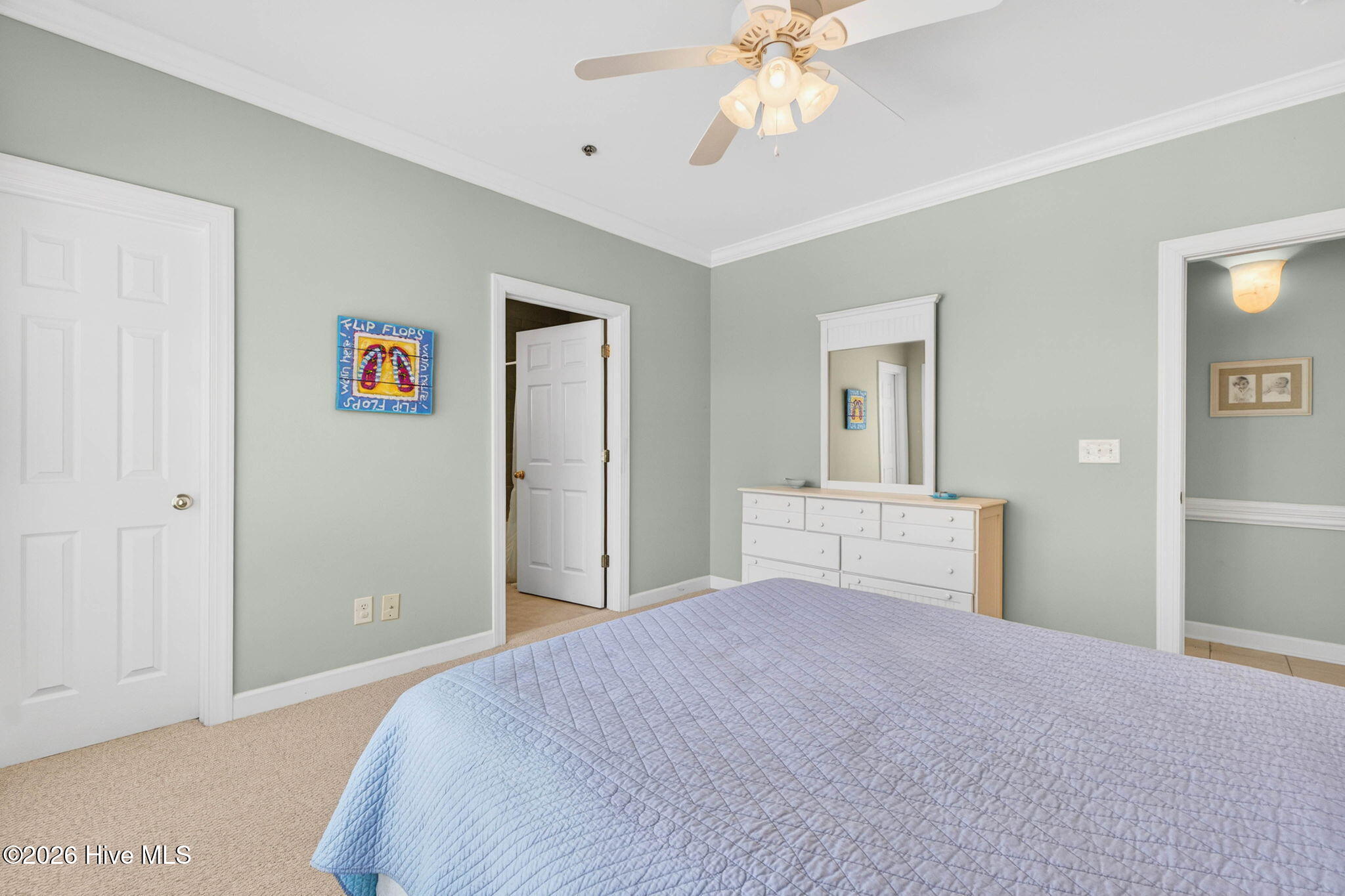 100555229 | Photo 15