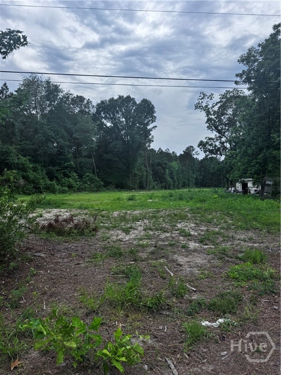 2nd image of 0 Fort Argyle Rd, Savannah, GA 31419 | MLS# SA355762