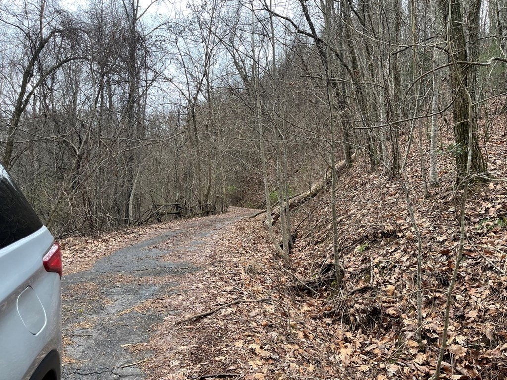 Exterior photo of 19 Lots Crockett, Hayesville, NC 28904. MLS: 98543769