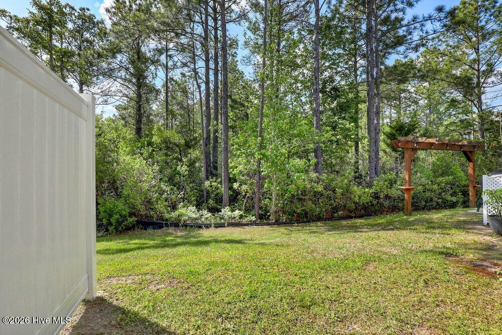 100568323 | Photo 26