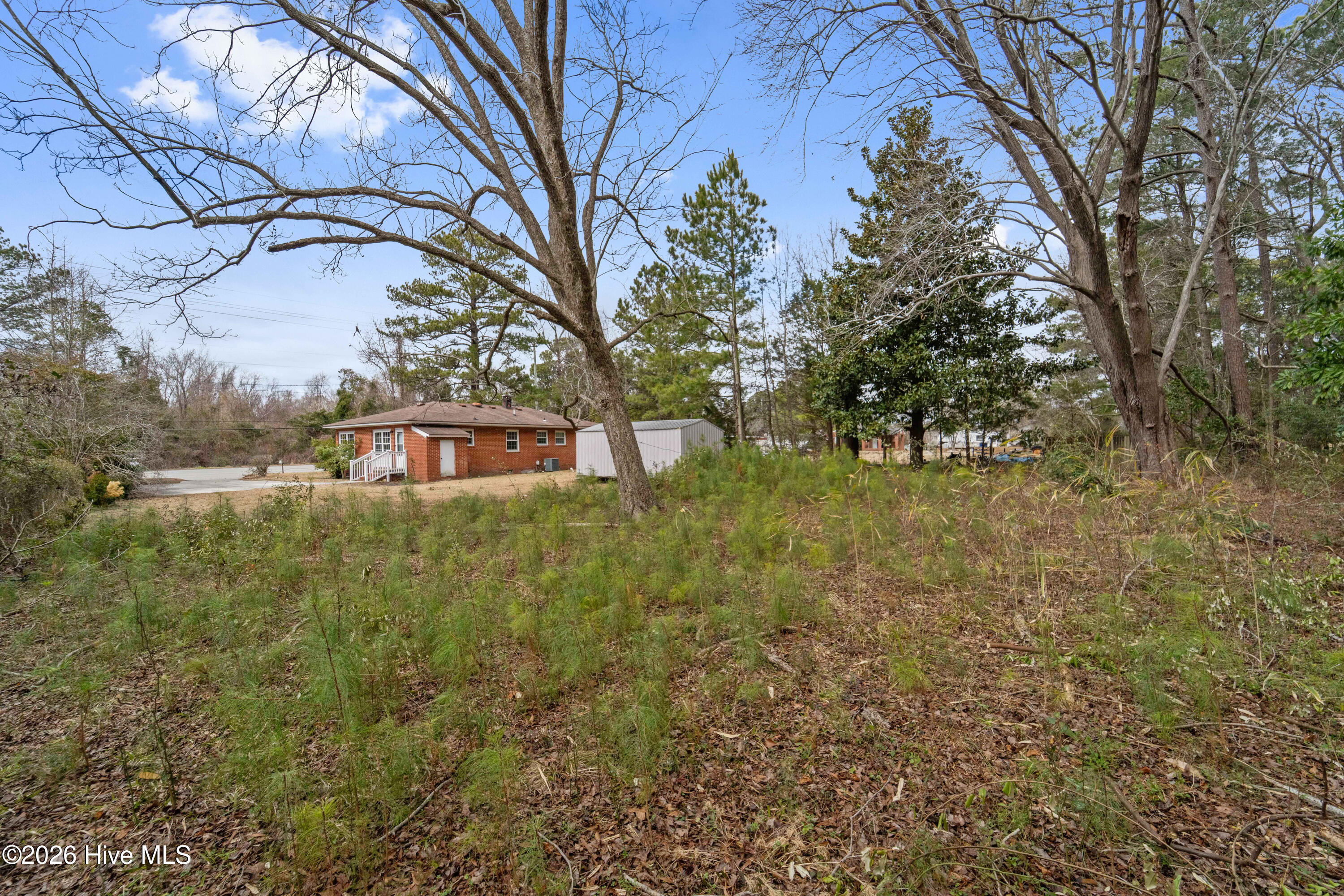 100557245 | Photo 44