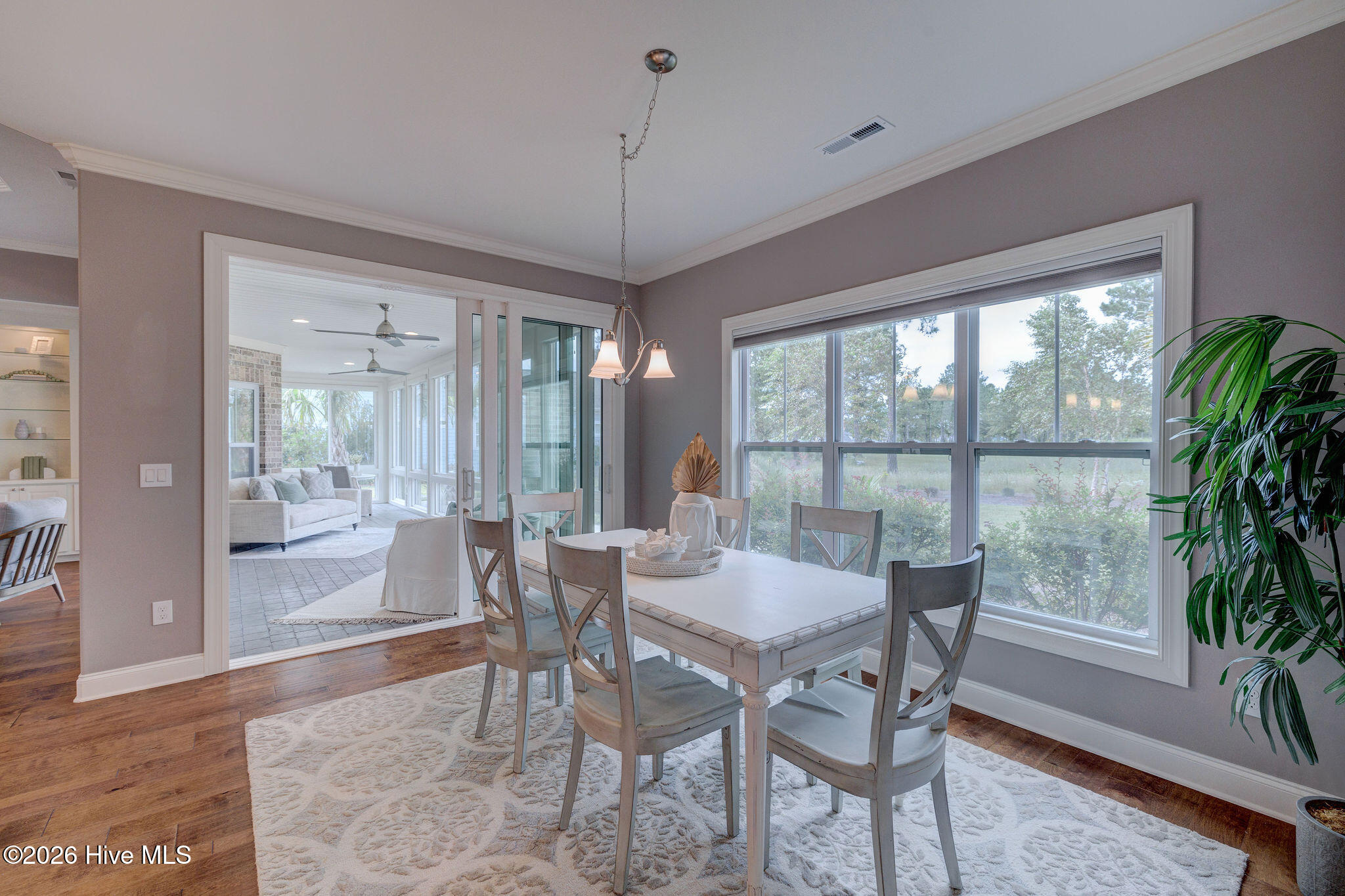 100558232 | Photo 16