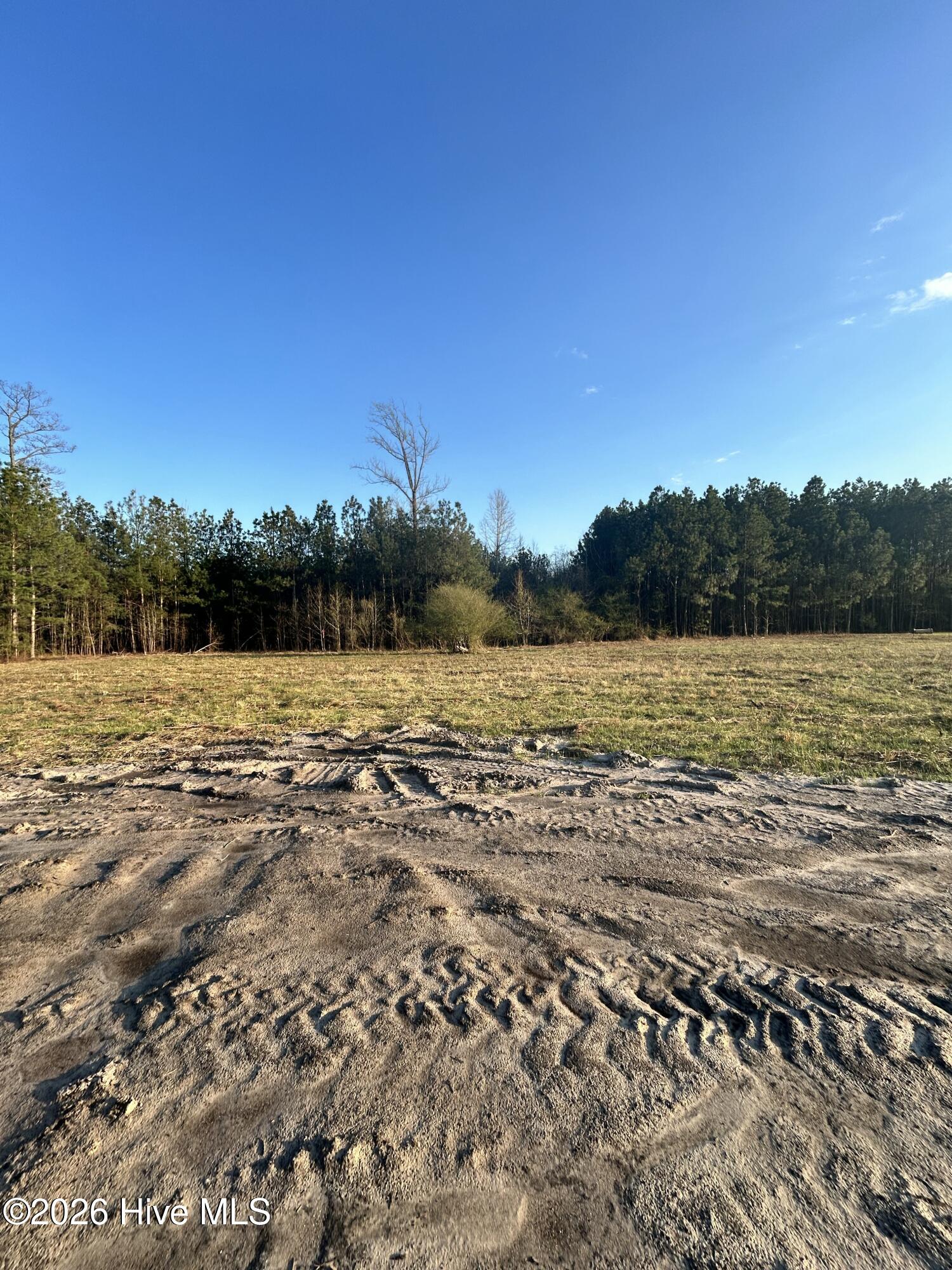 100559513 | Photo 17