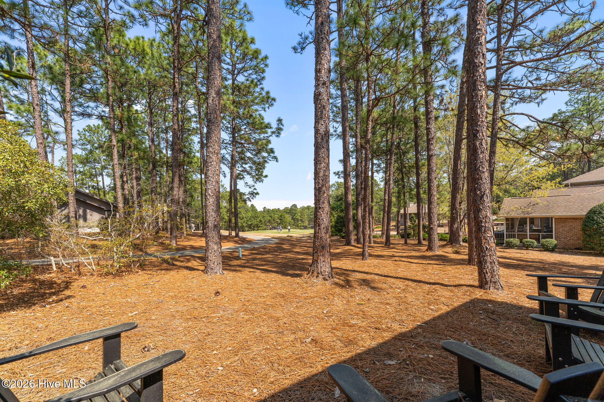 48-web-or-mls-DSC04002