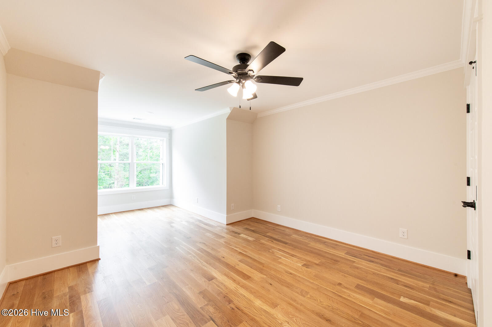 Spare Bedroom!