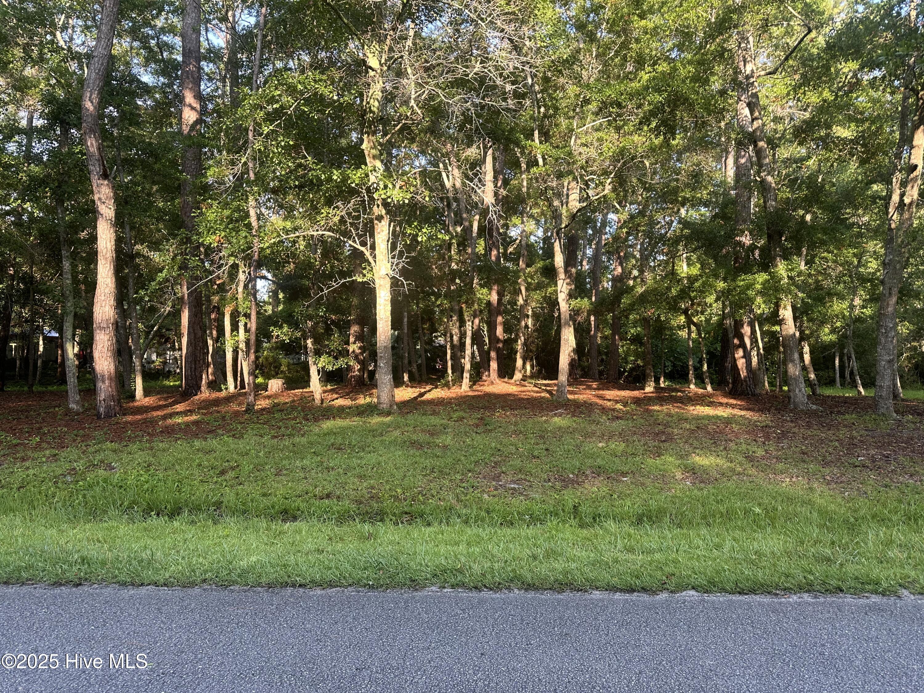 1784 Oak Street SW, Ocean Isle Beach, NC, 28469