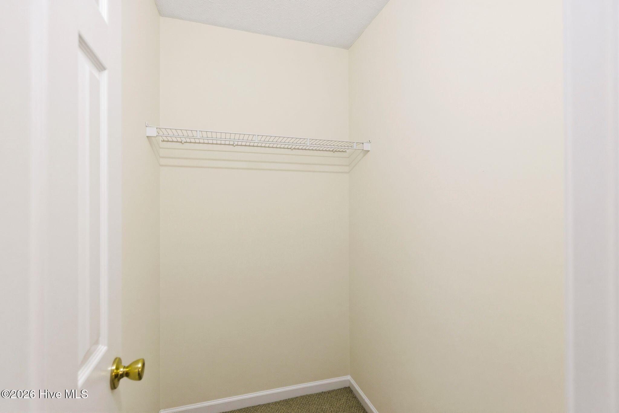 100567246 | Photo 33