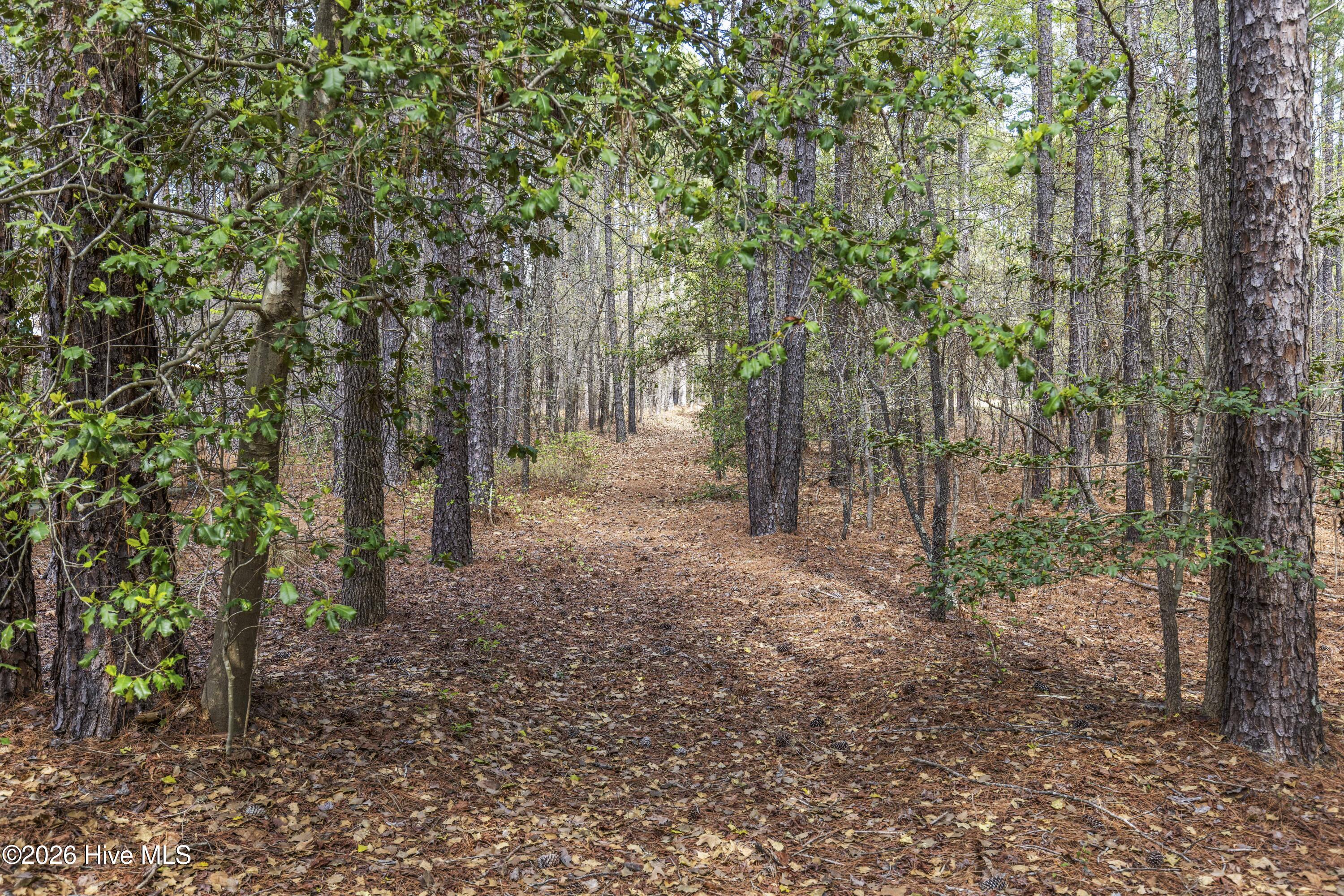 Exterior photo of 215 Cameron Camp Road, Cameron, NC 28326. MLS: 100593969