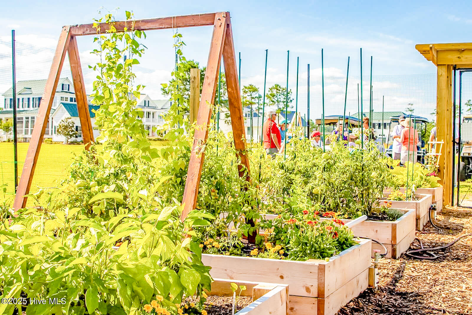 175 River Watch Road, Oriental, NC, 28571