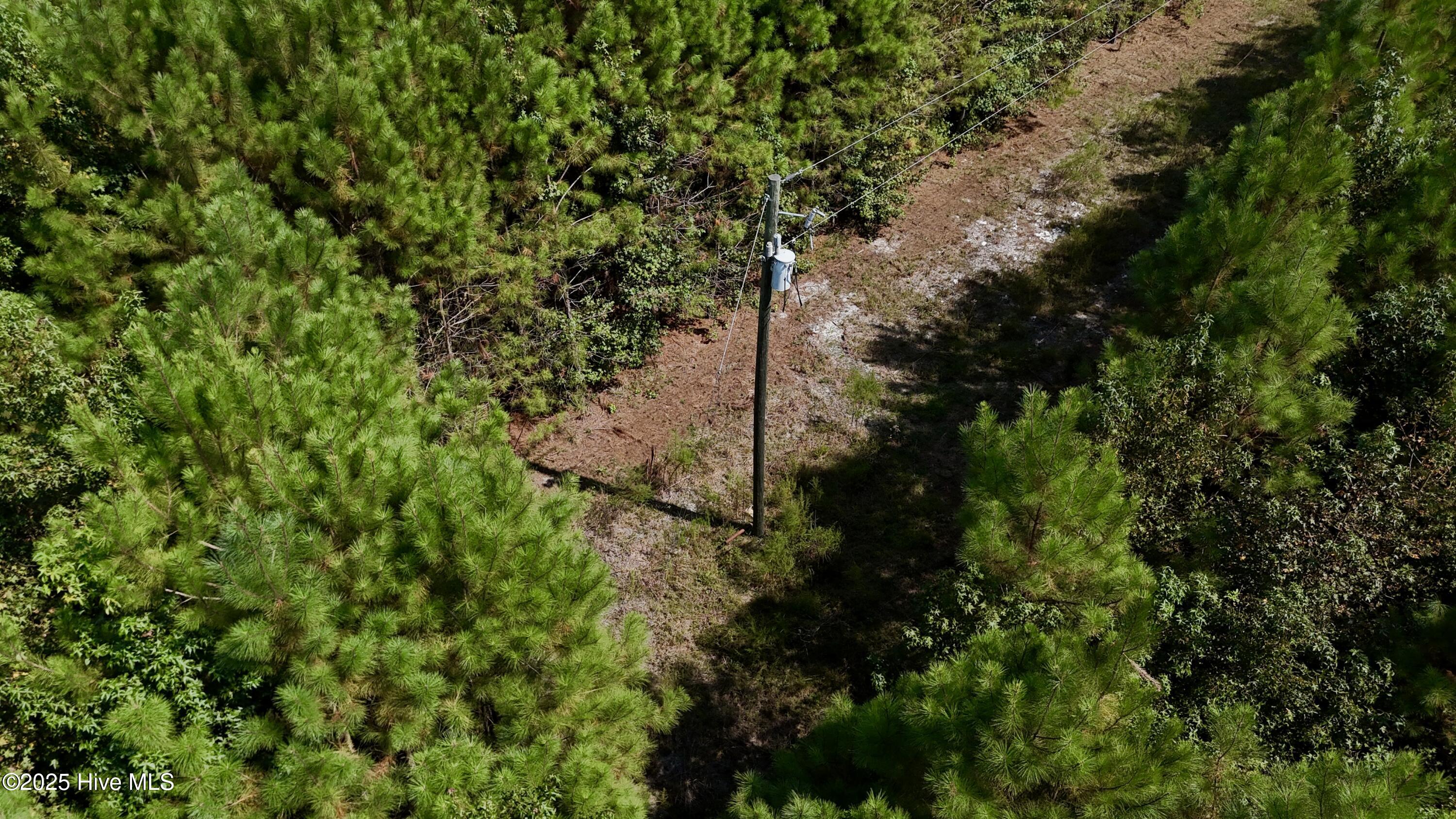 100531803 | Photo 16