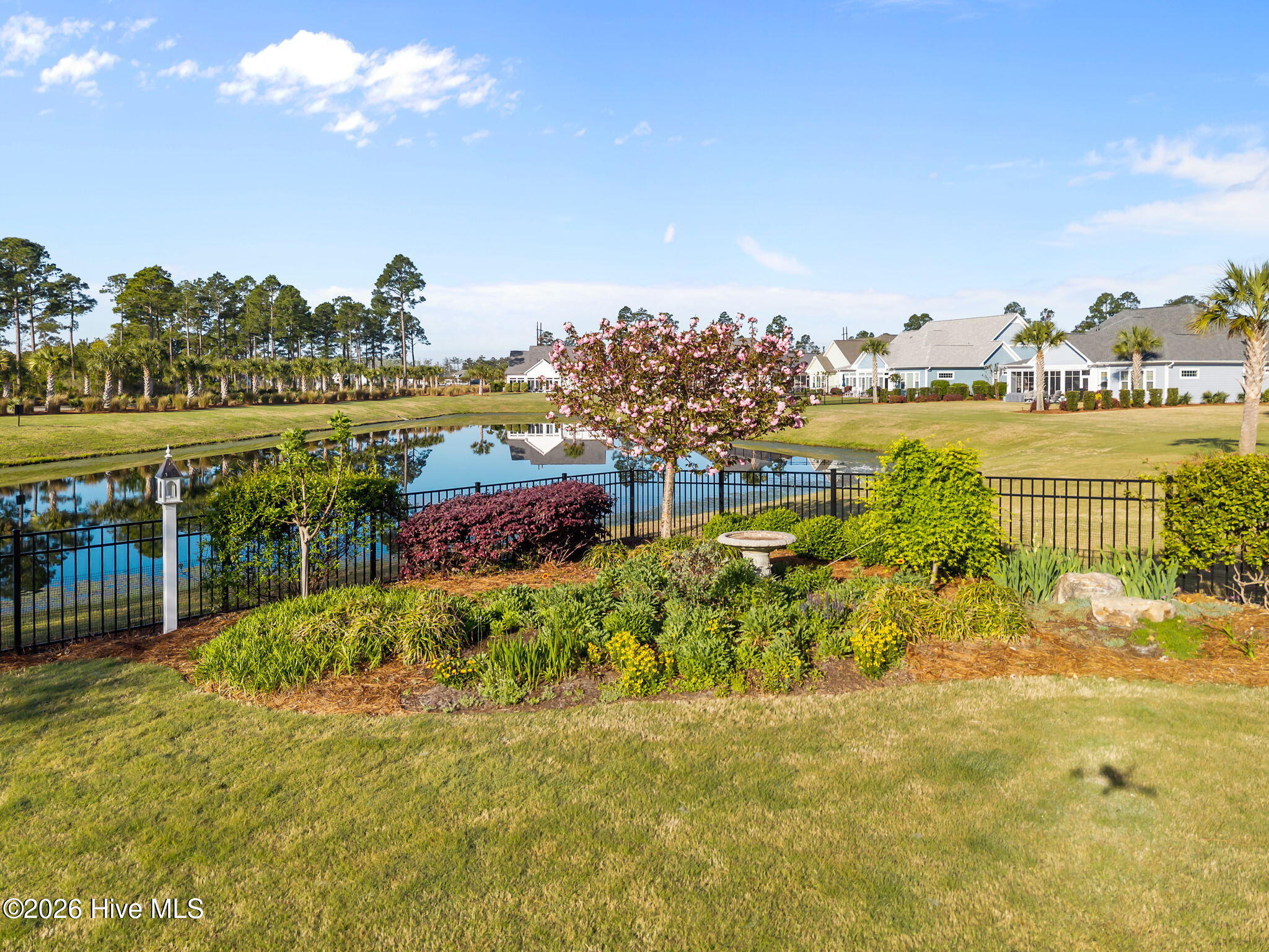 100566700 | Photo 48