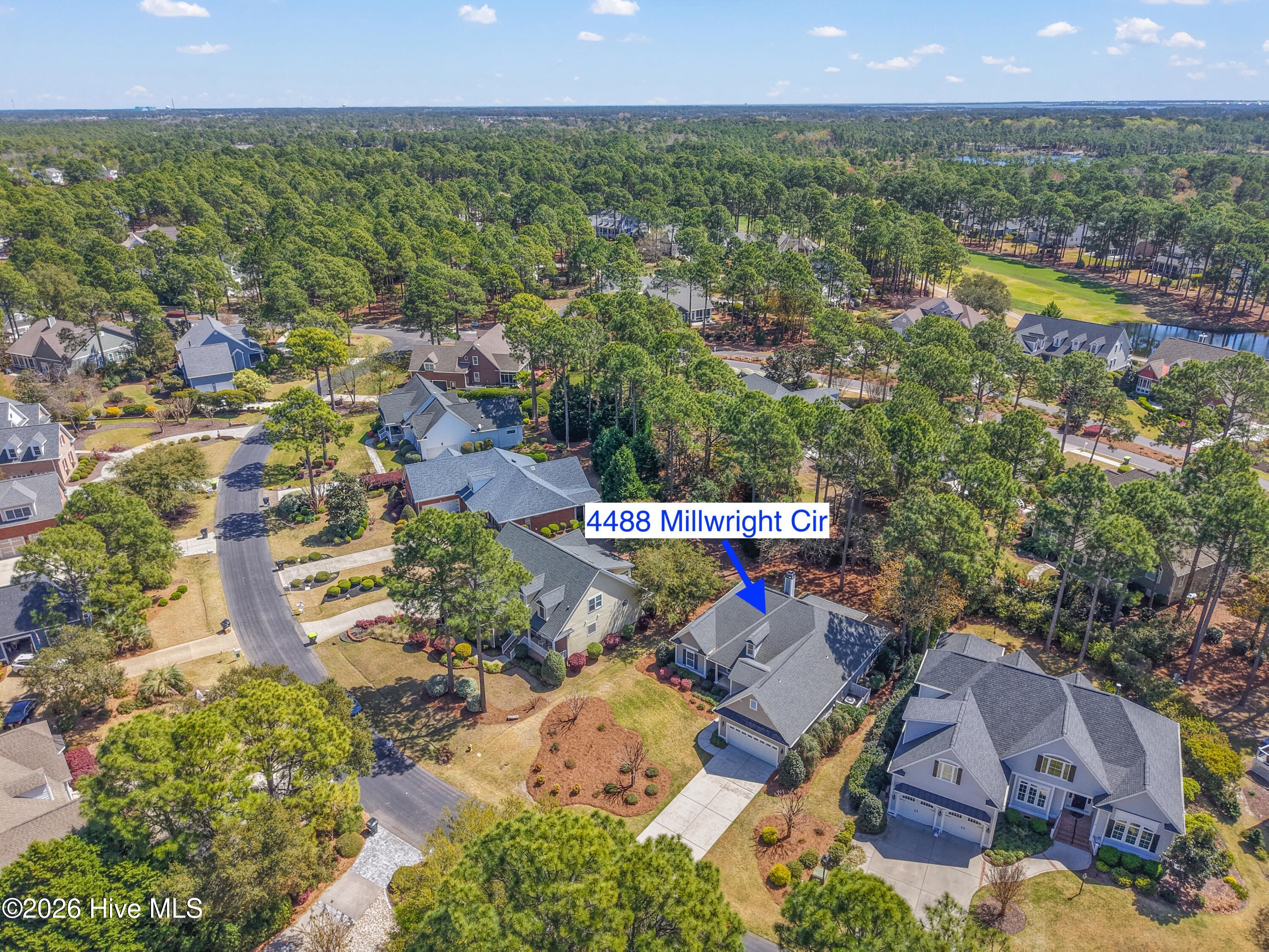 100563713 | Photo 45