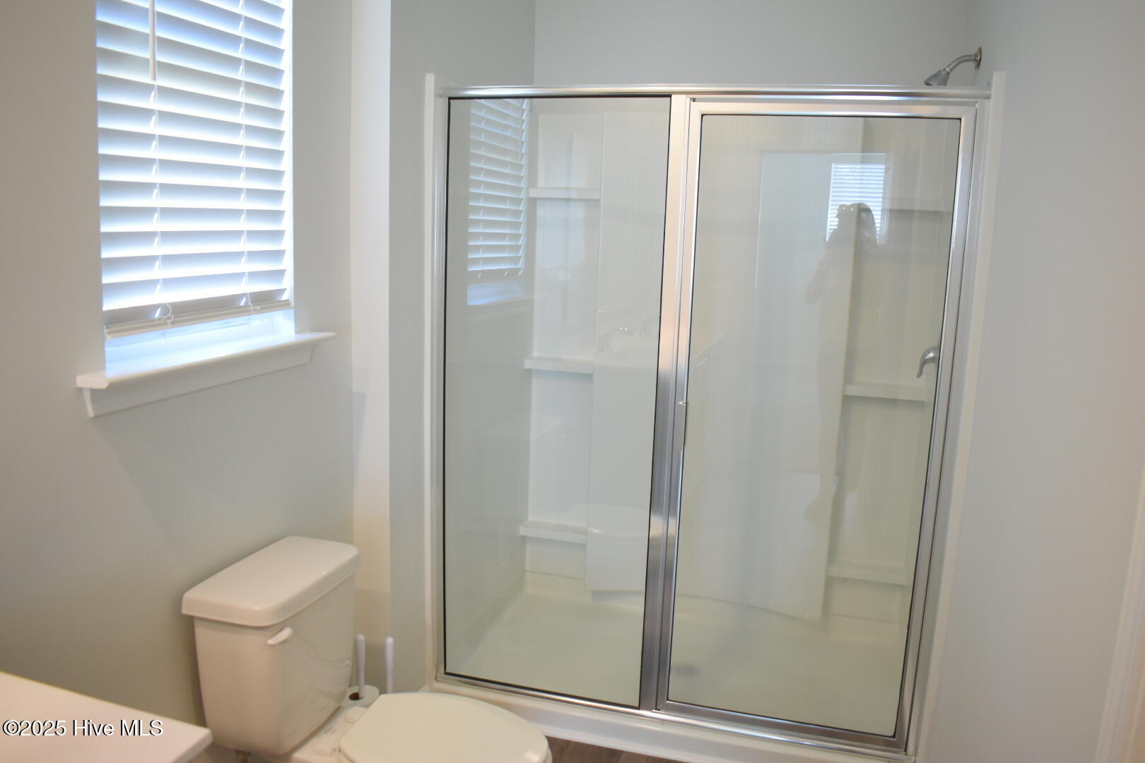 100535497 | Photo 16