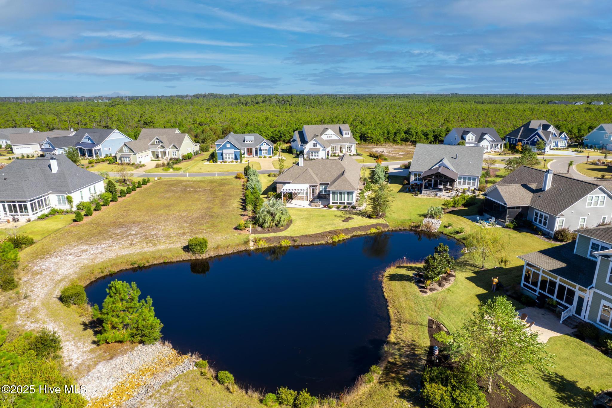 100542823 | Photo 15