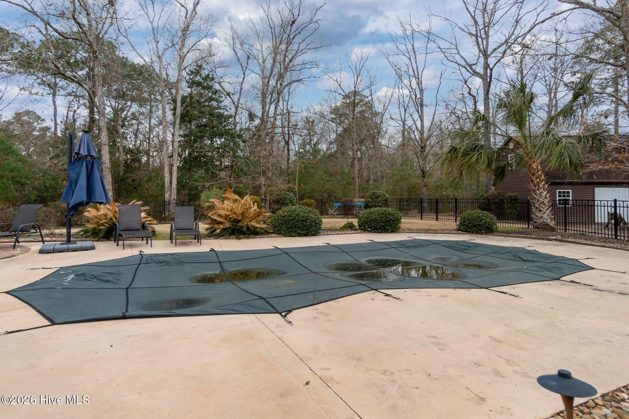 100556327 | Photo 48