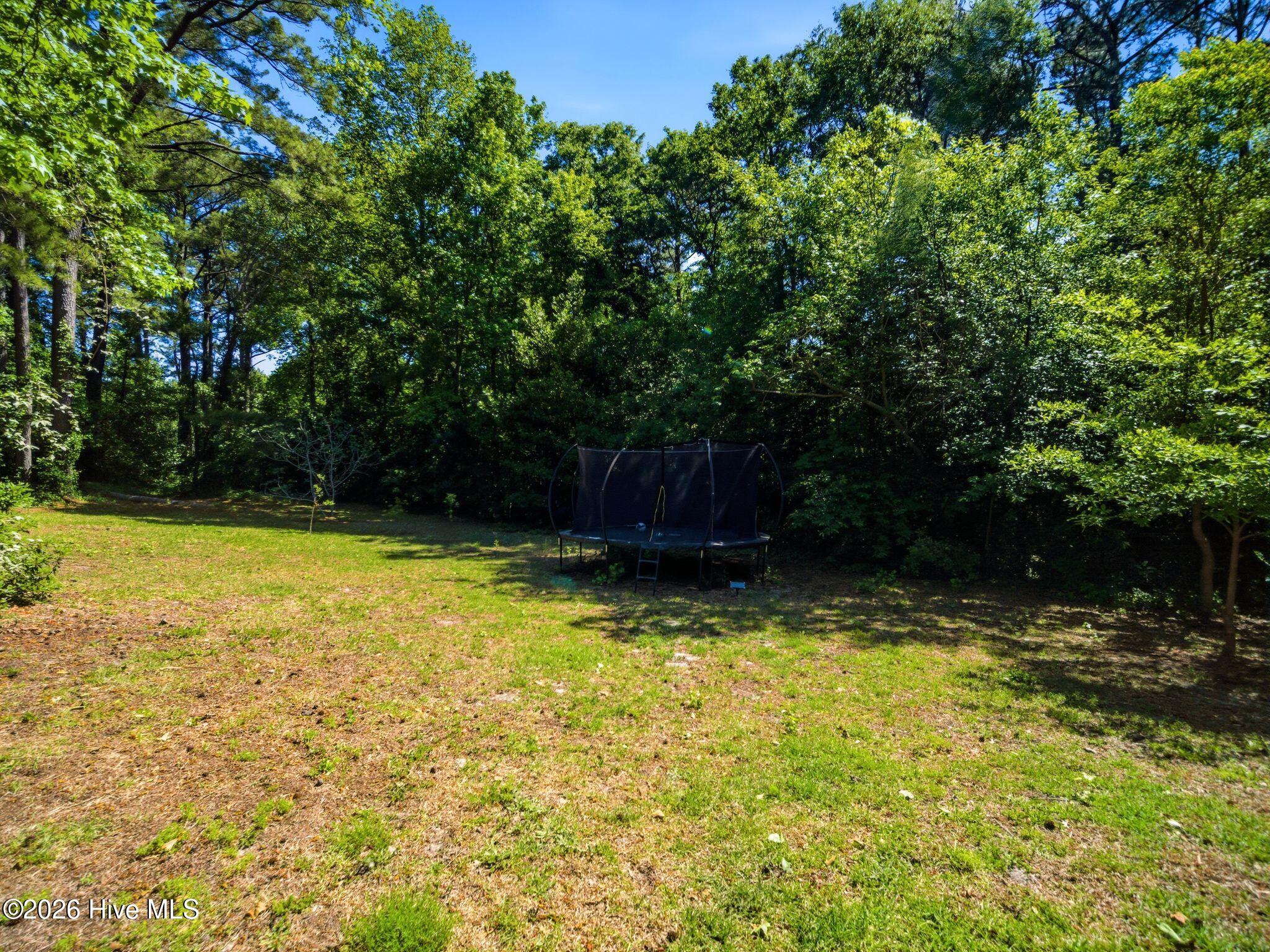 100568966 | Photo 66