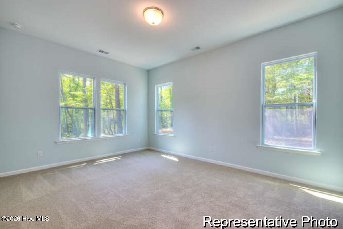 100563715 | Photo 15