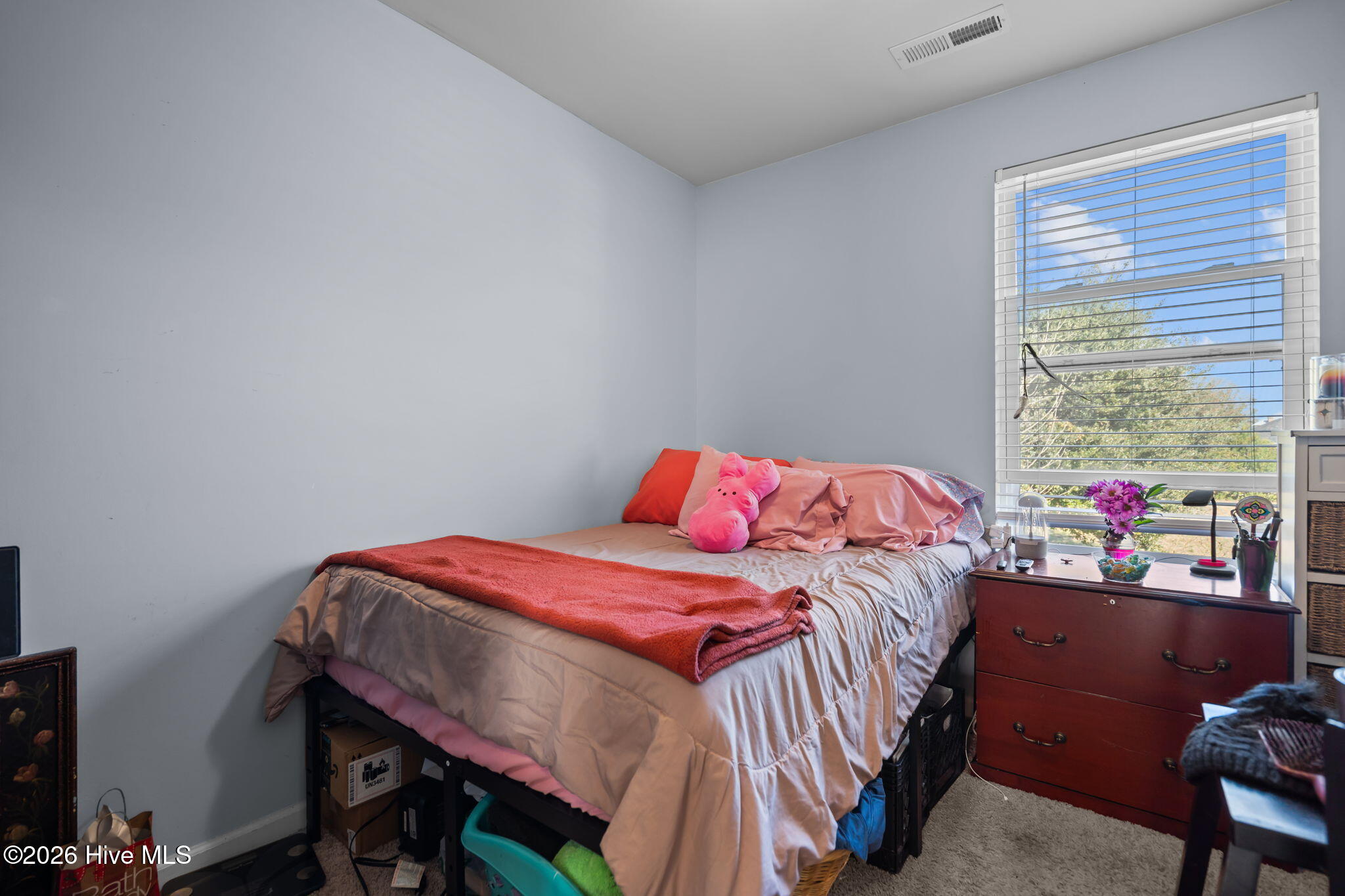 100548368 | Photo 16