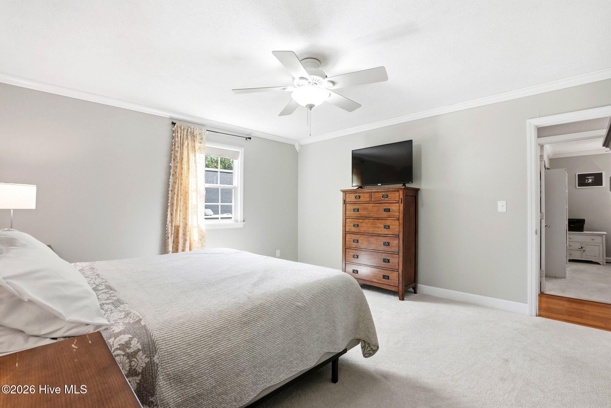 100568648 | Photo 41