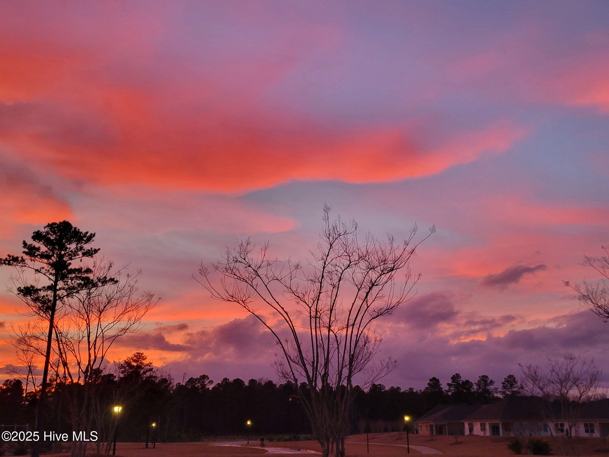 100533890 | Photo 14