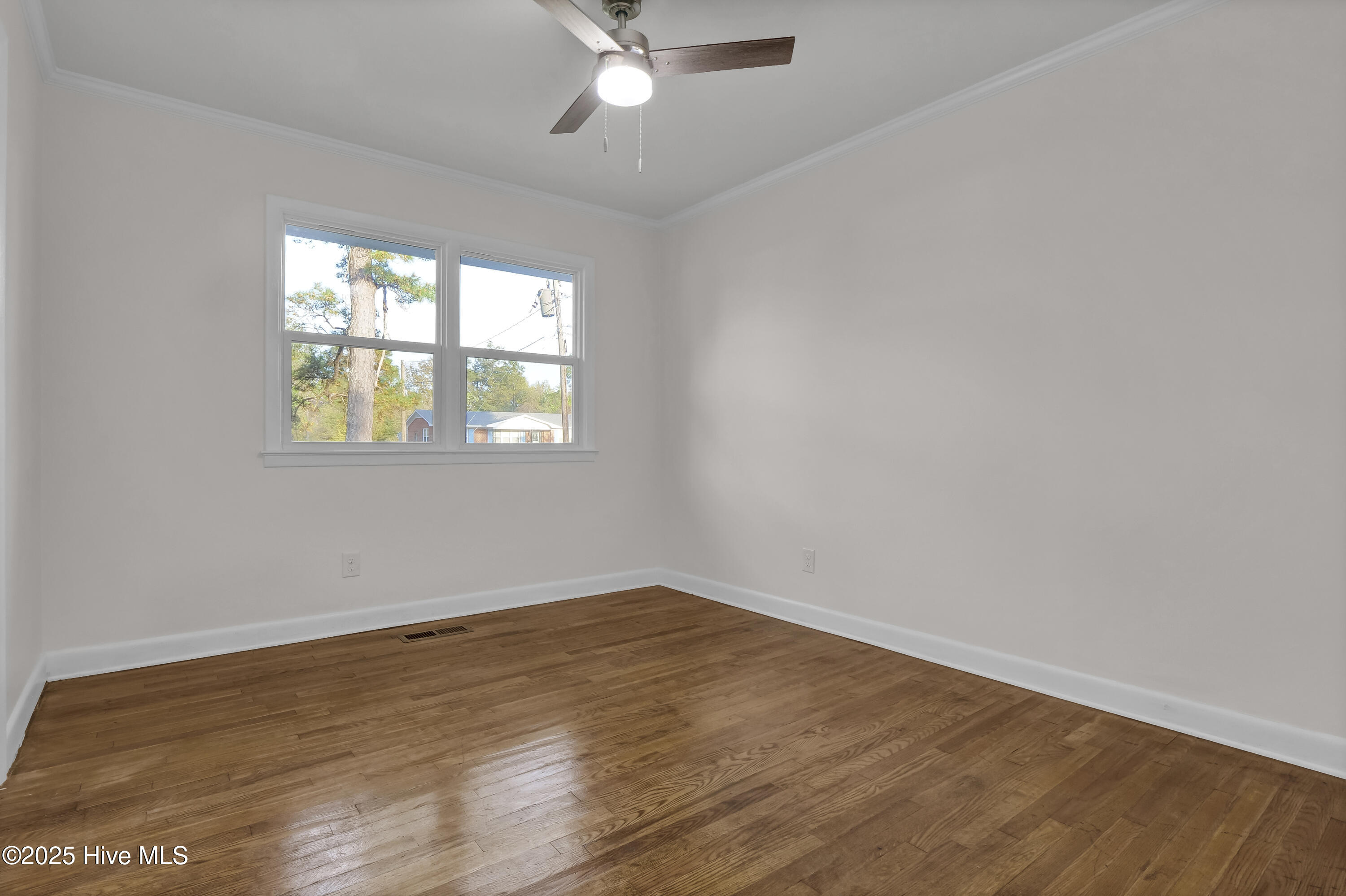 100555284 | Photo 13