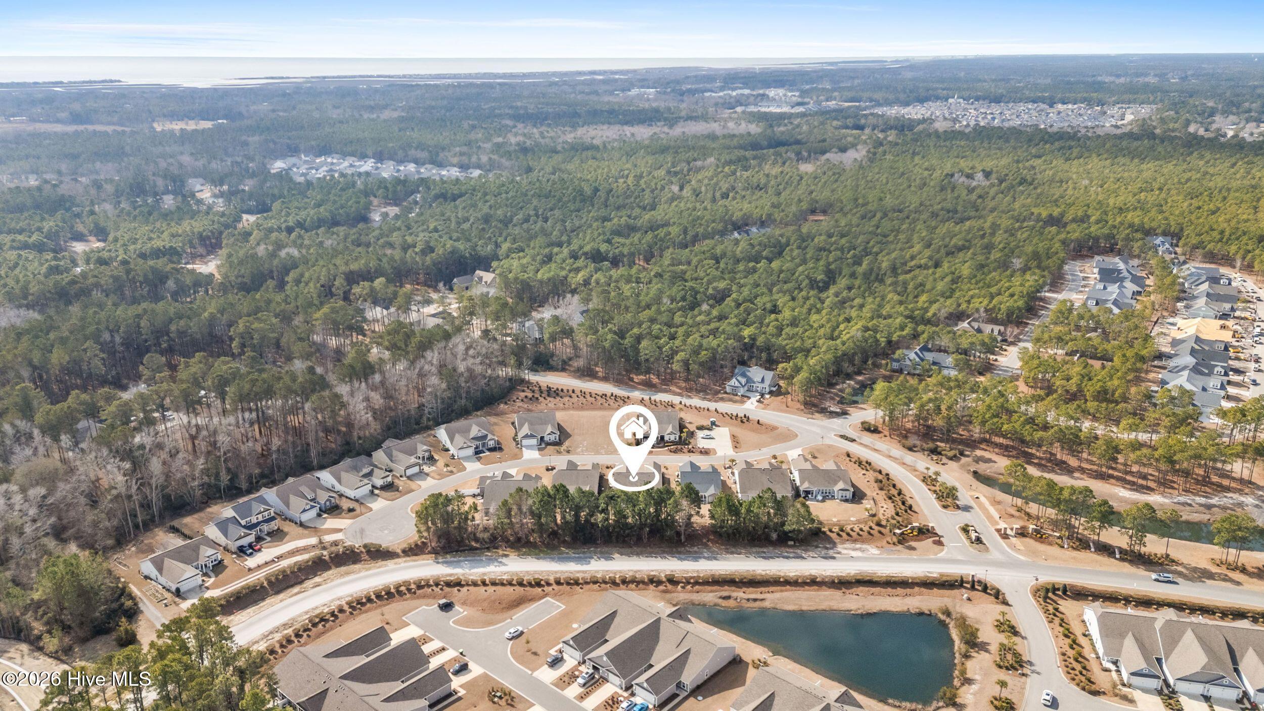 100553871 | Photo 61