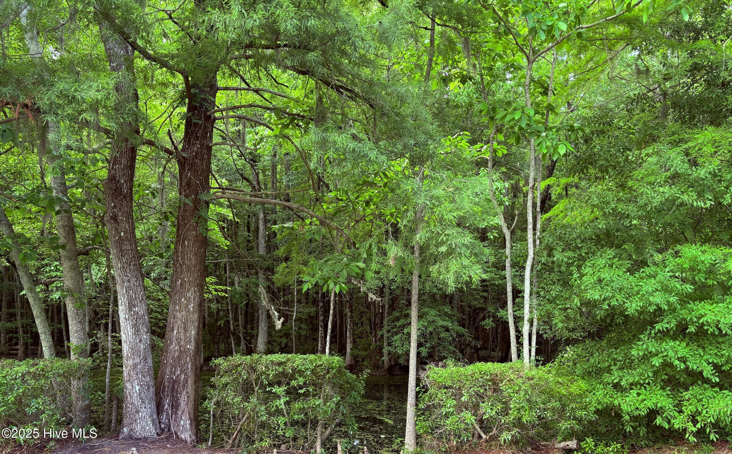 100543685 | Photo 30