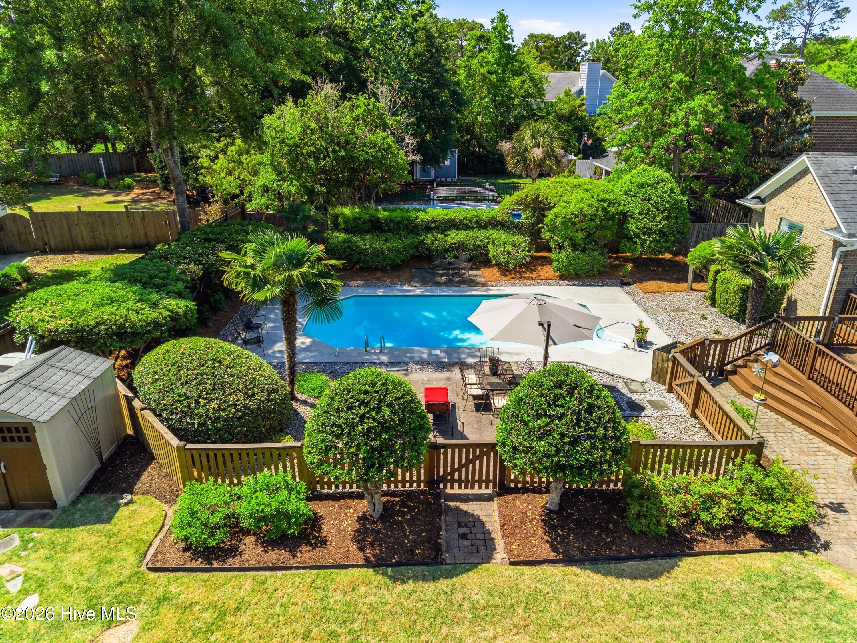 100568689 | Photo 29