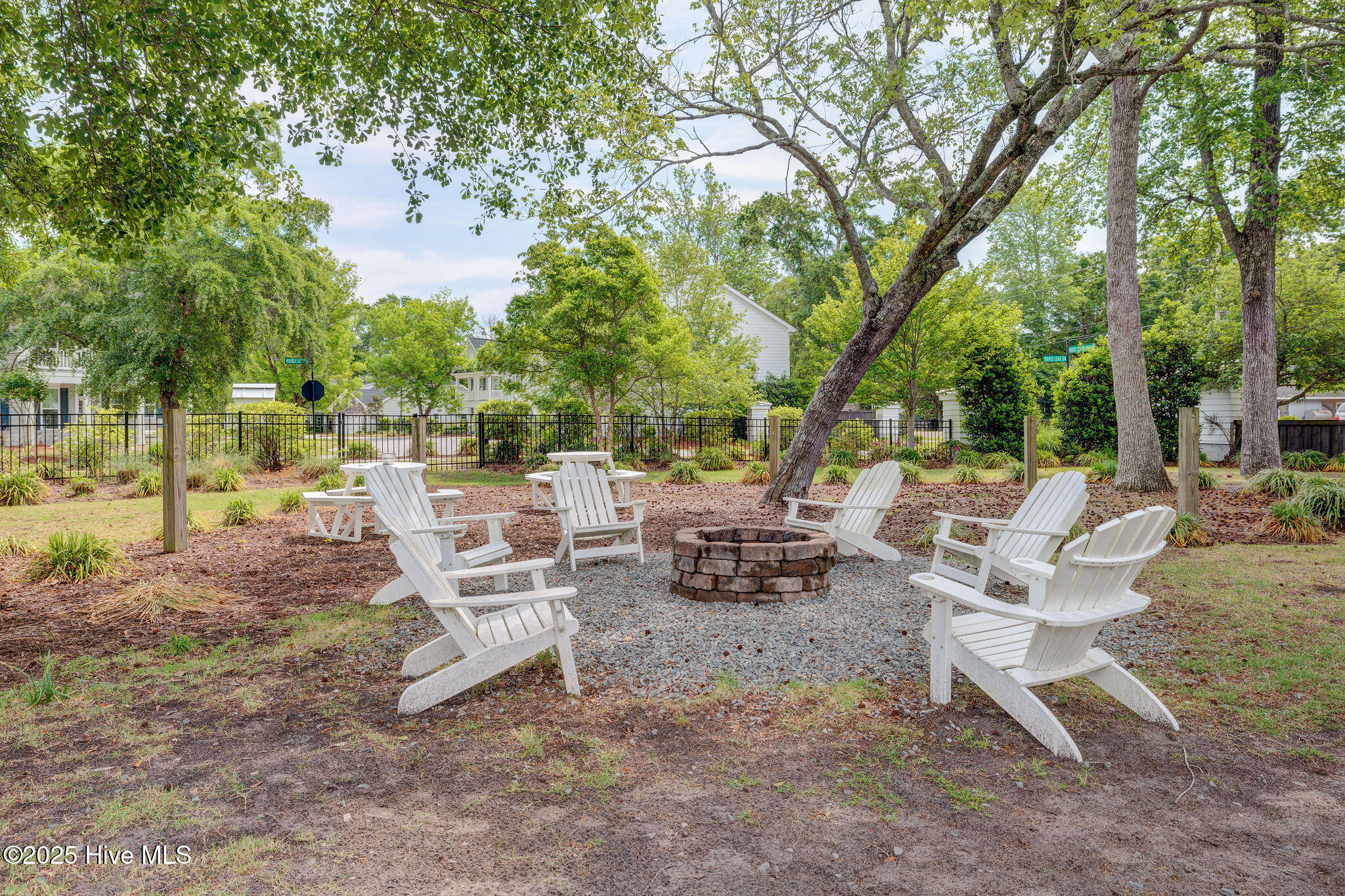 100529833 | Photo 50