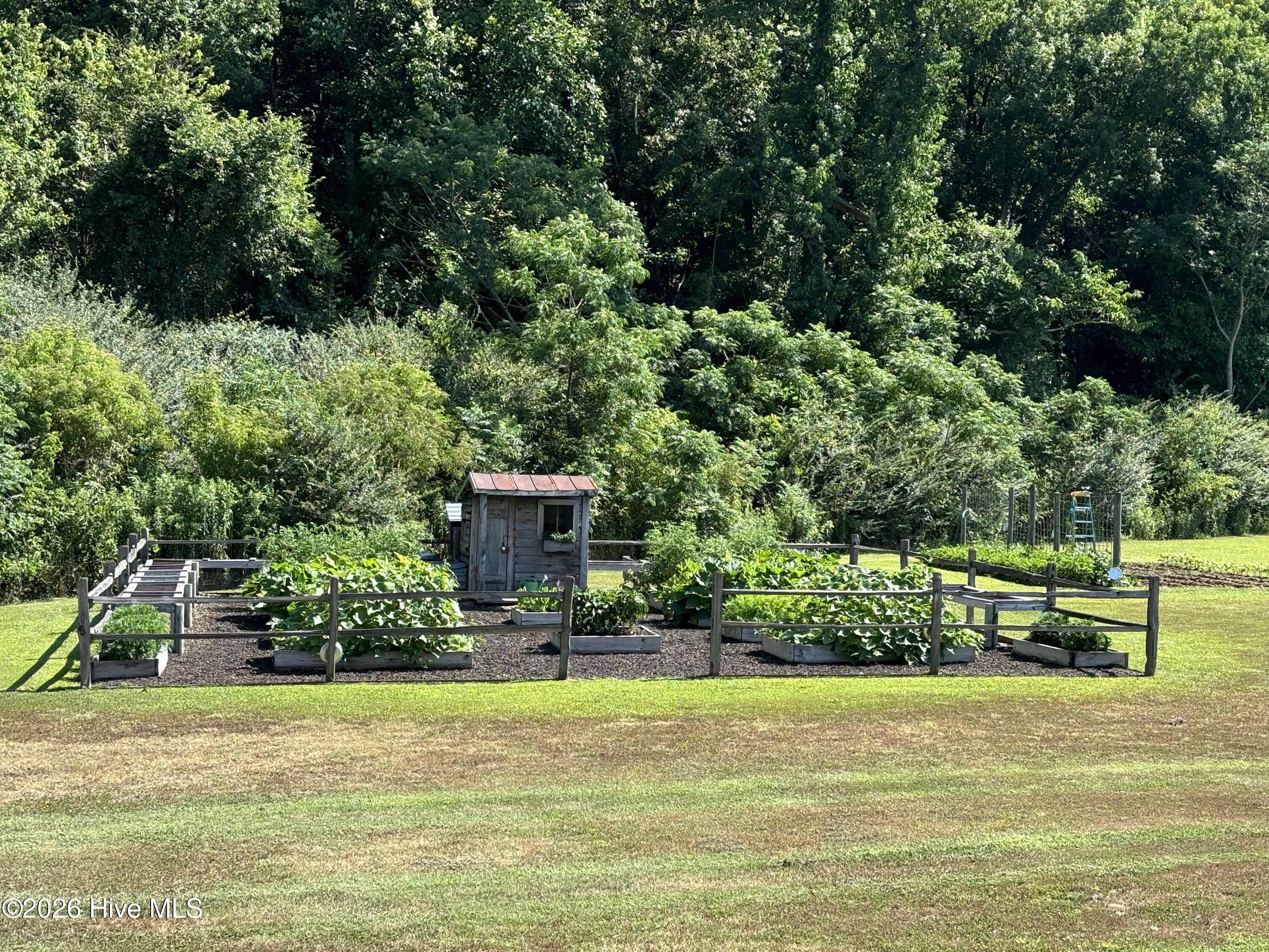 100556913 | Photo 60