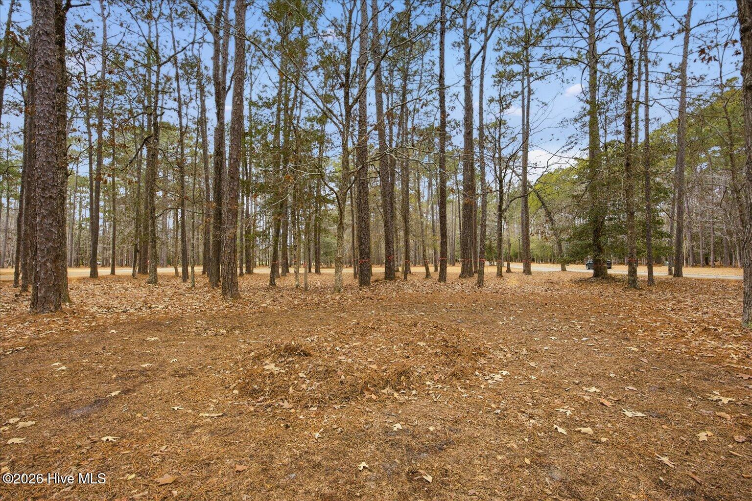 100555112 | Photo 54