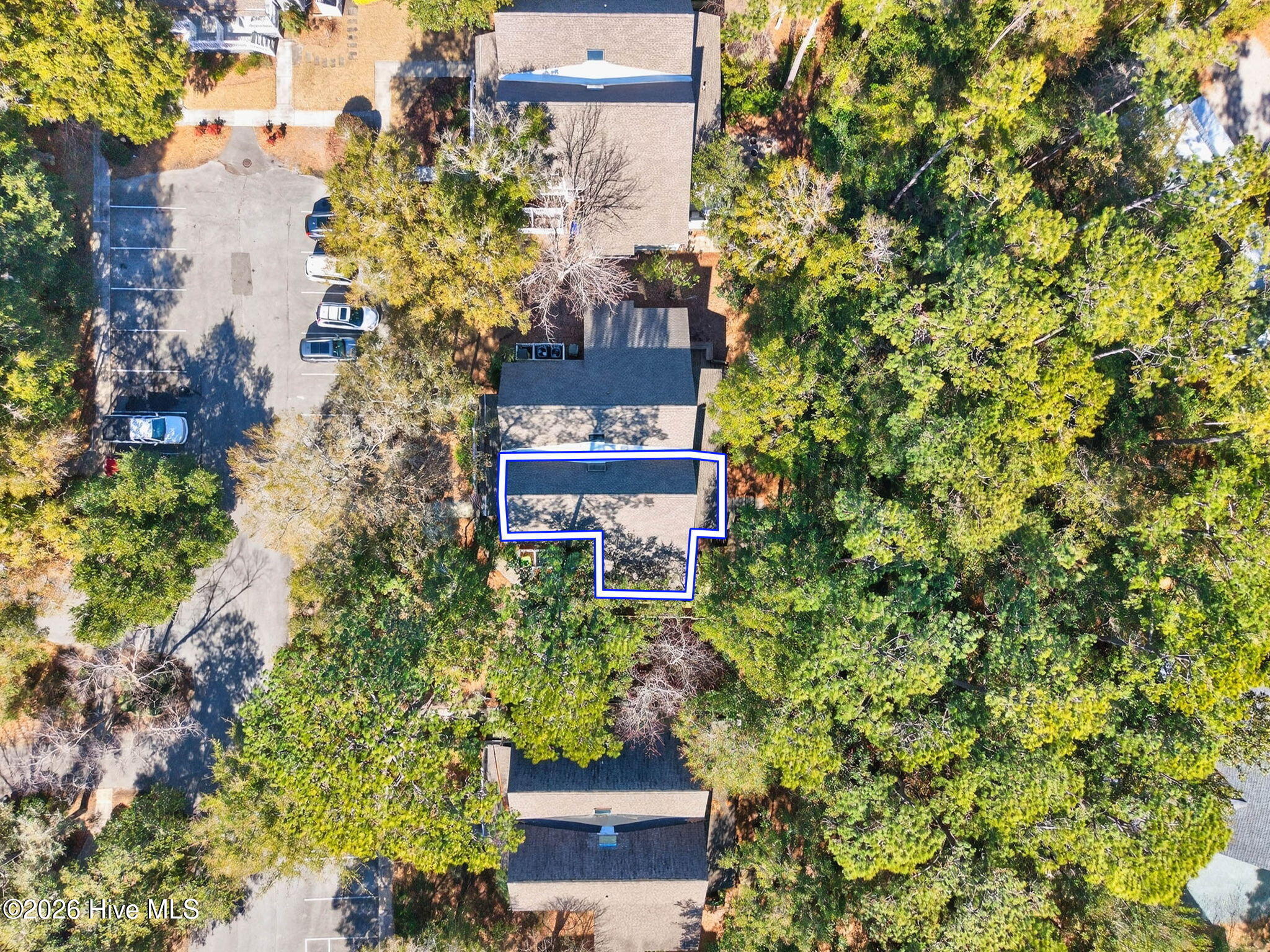 100553475 | Photo 12