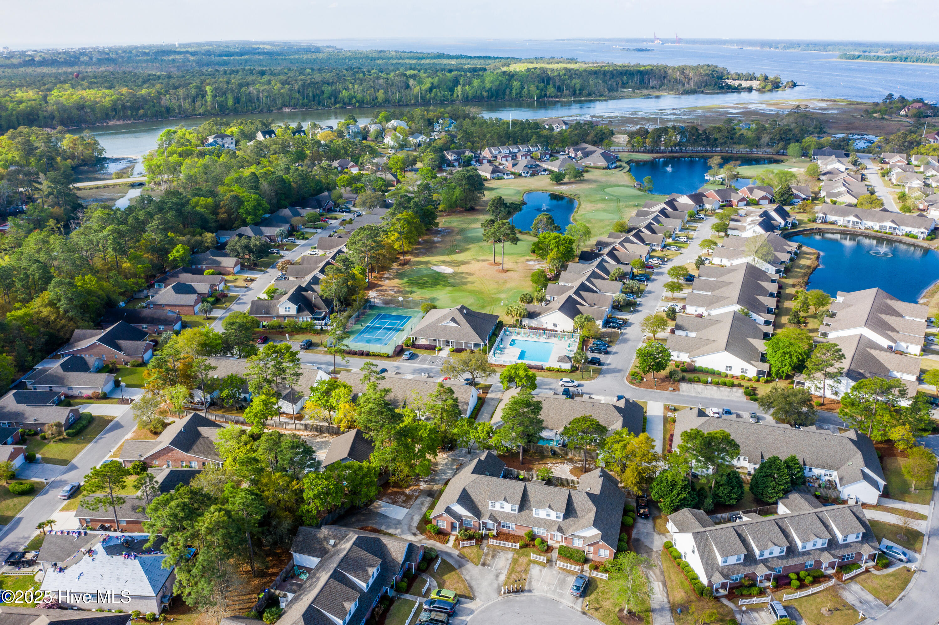 100534065 | Photo 29