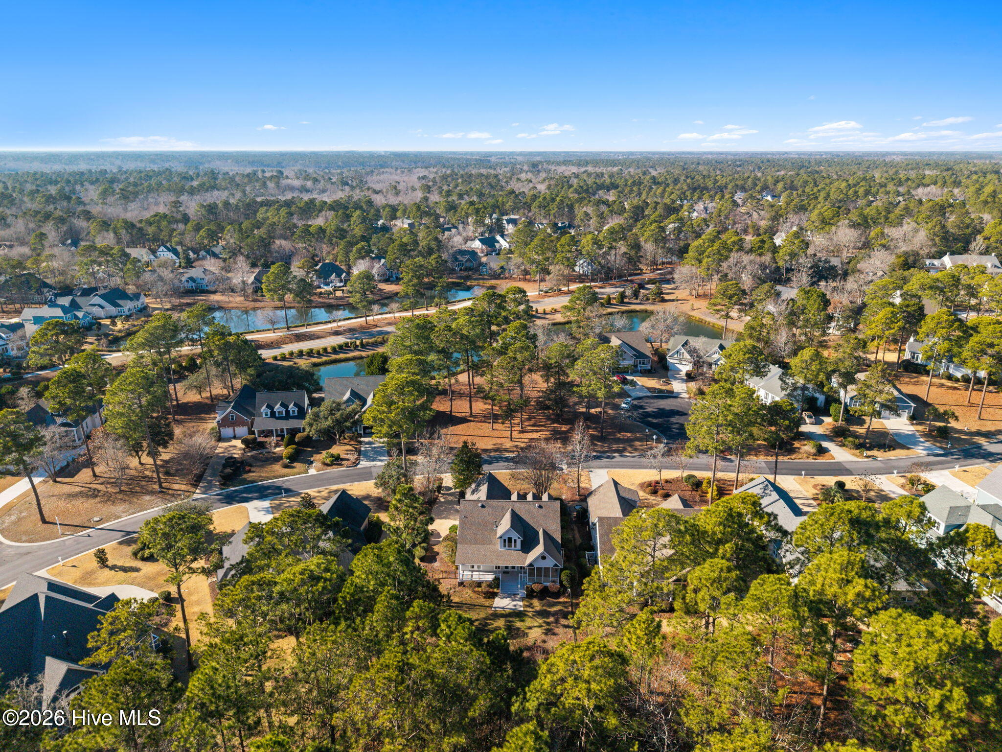 100551669 | Photo 11