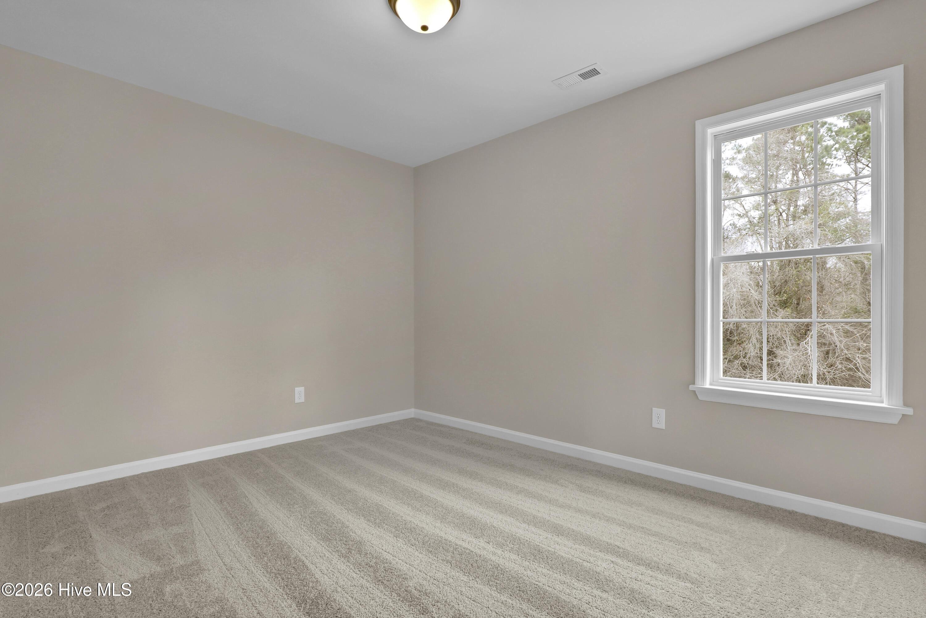 100556973 | Photo 19