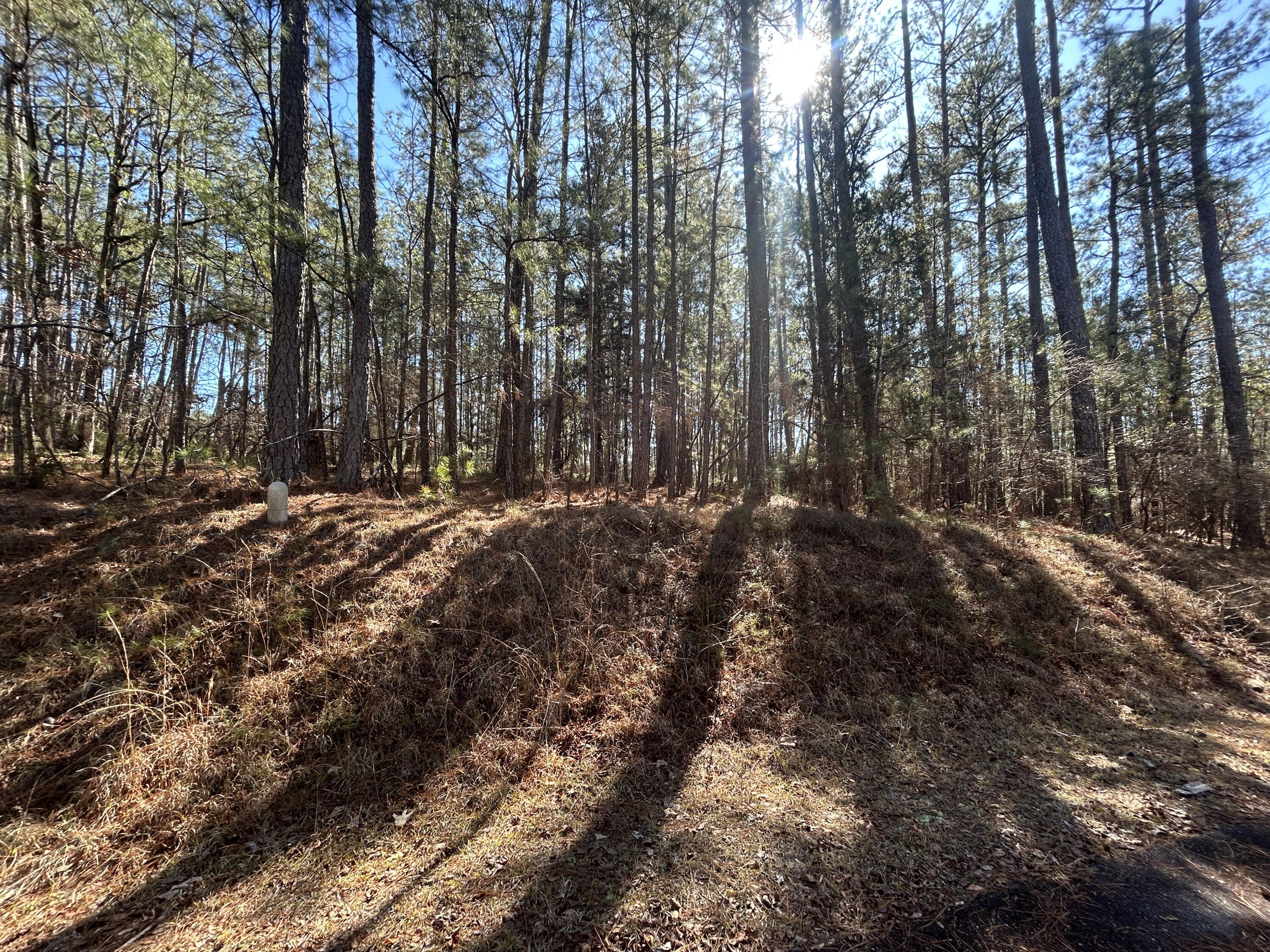 Savannah Lakes lot that comes with property