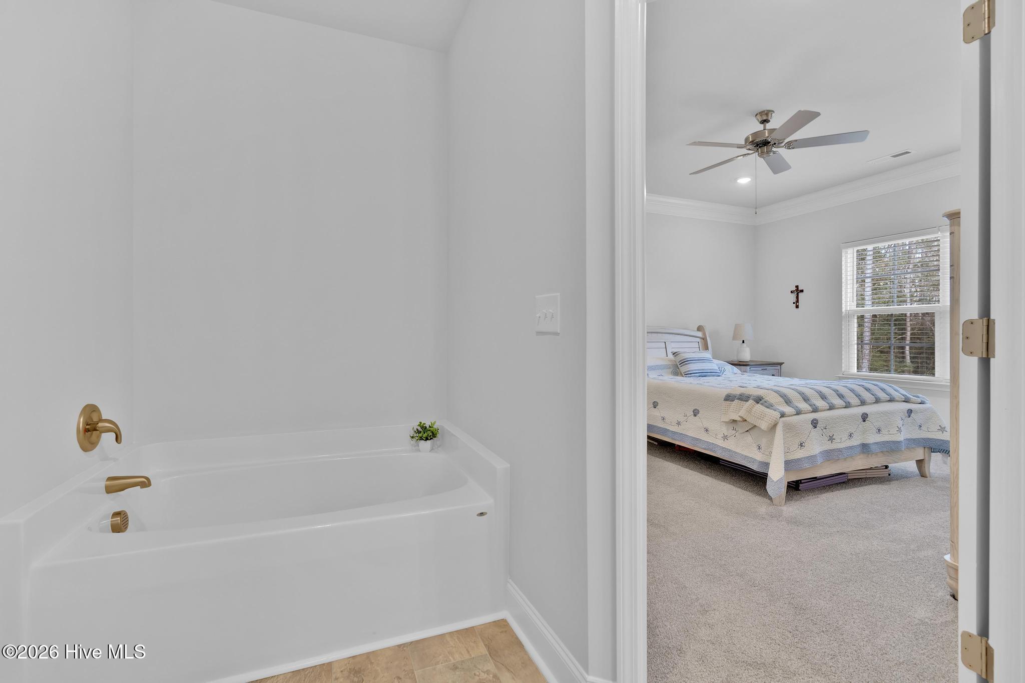 100553643 | Photo 26