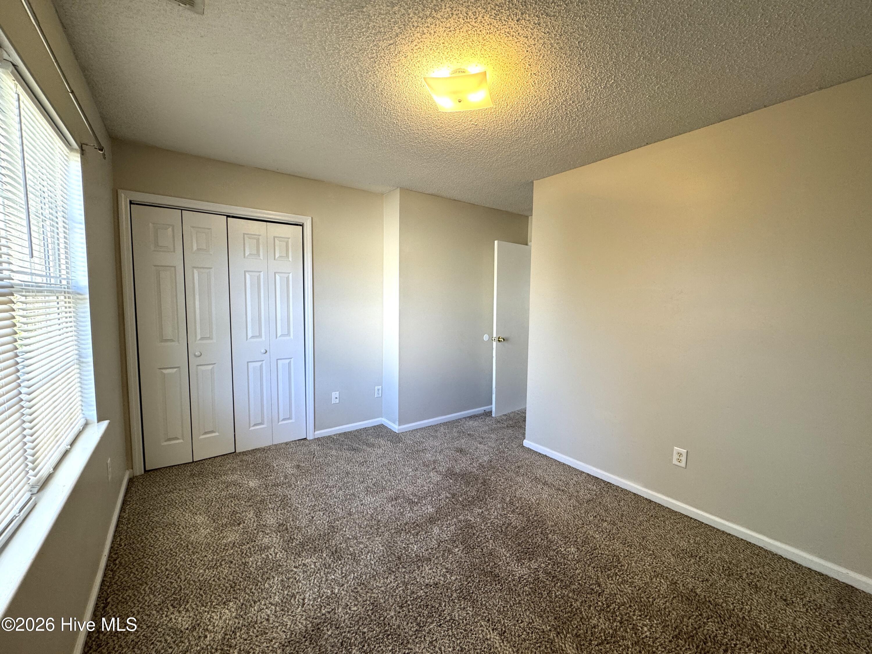 100565528 | Photo 12