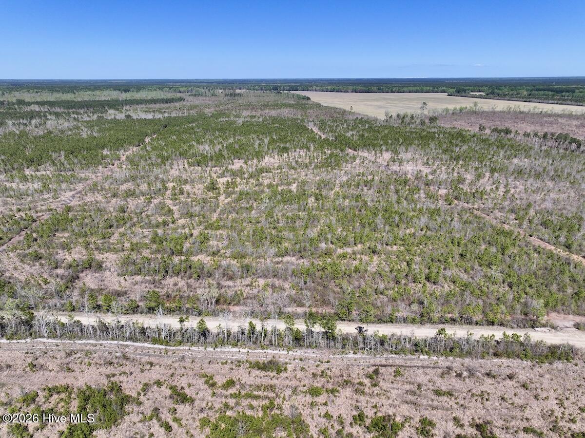 0 Guinea Mill Road, Ernul, NC, 28527