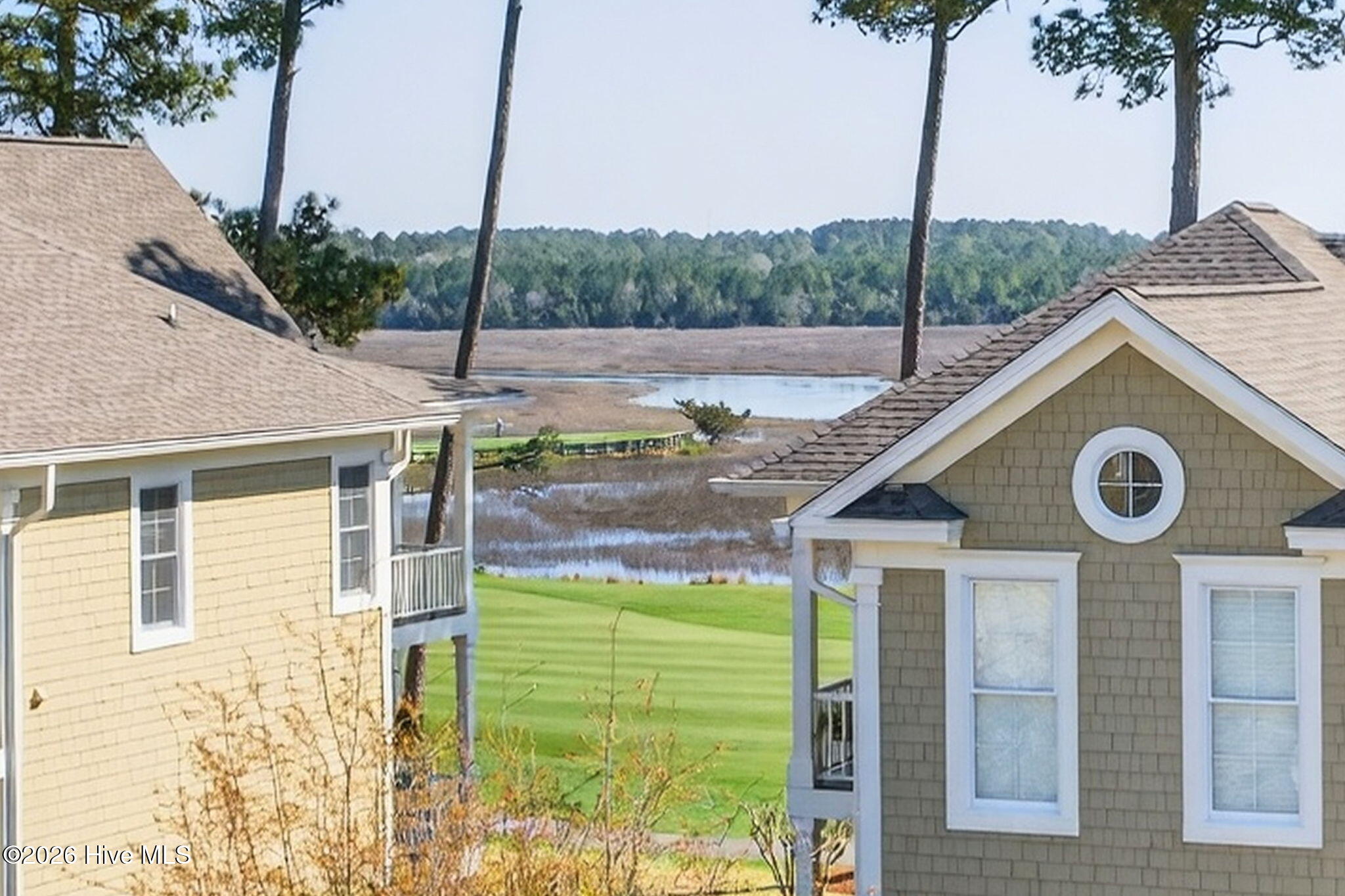 100561397 | Photo 71