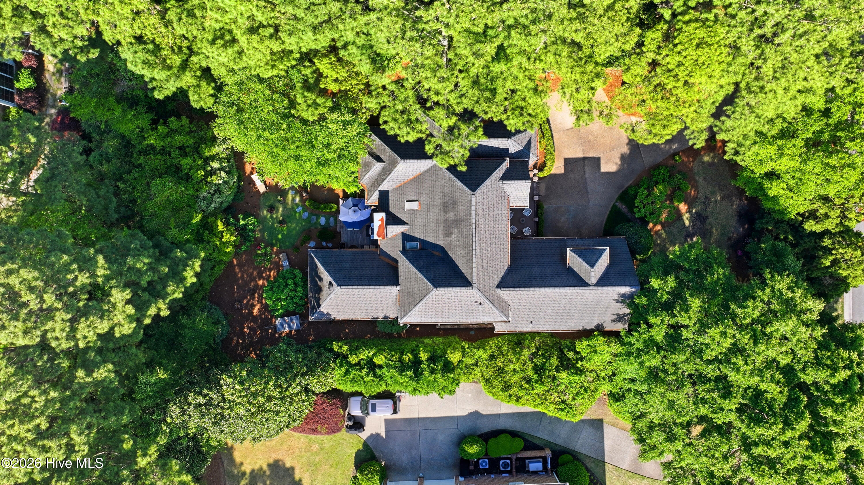 100567999 | Photo 53