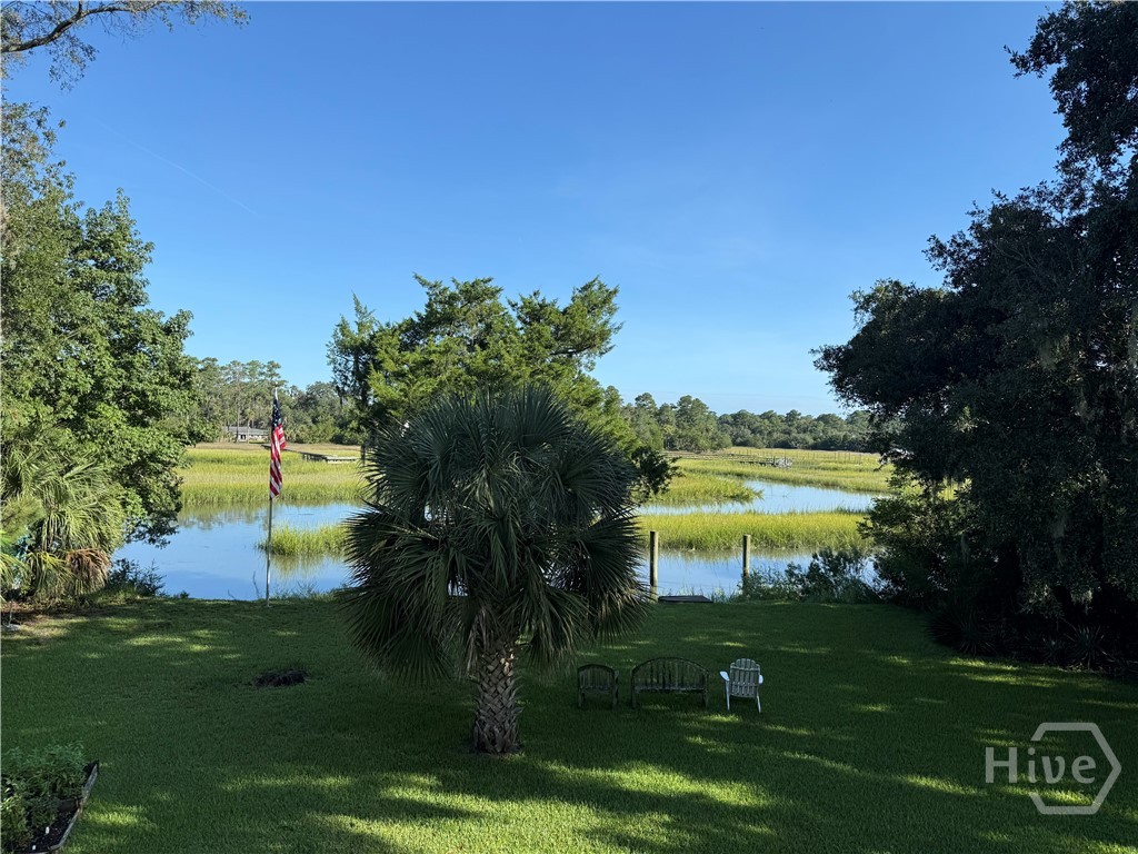 Marsh View