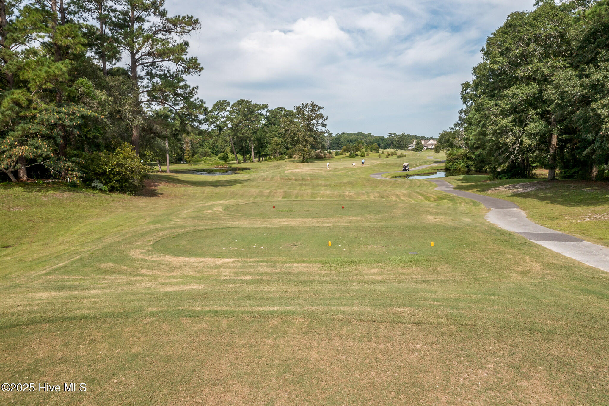 100528098 | Photo 43