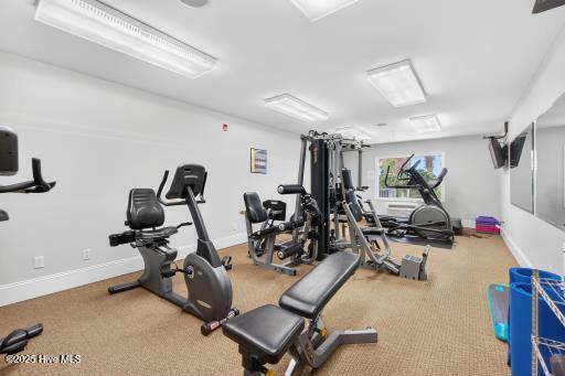 100531498 | Photo 35