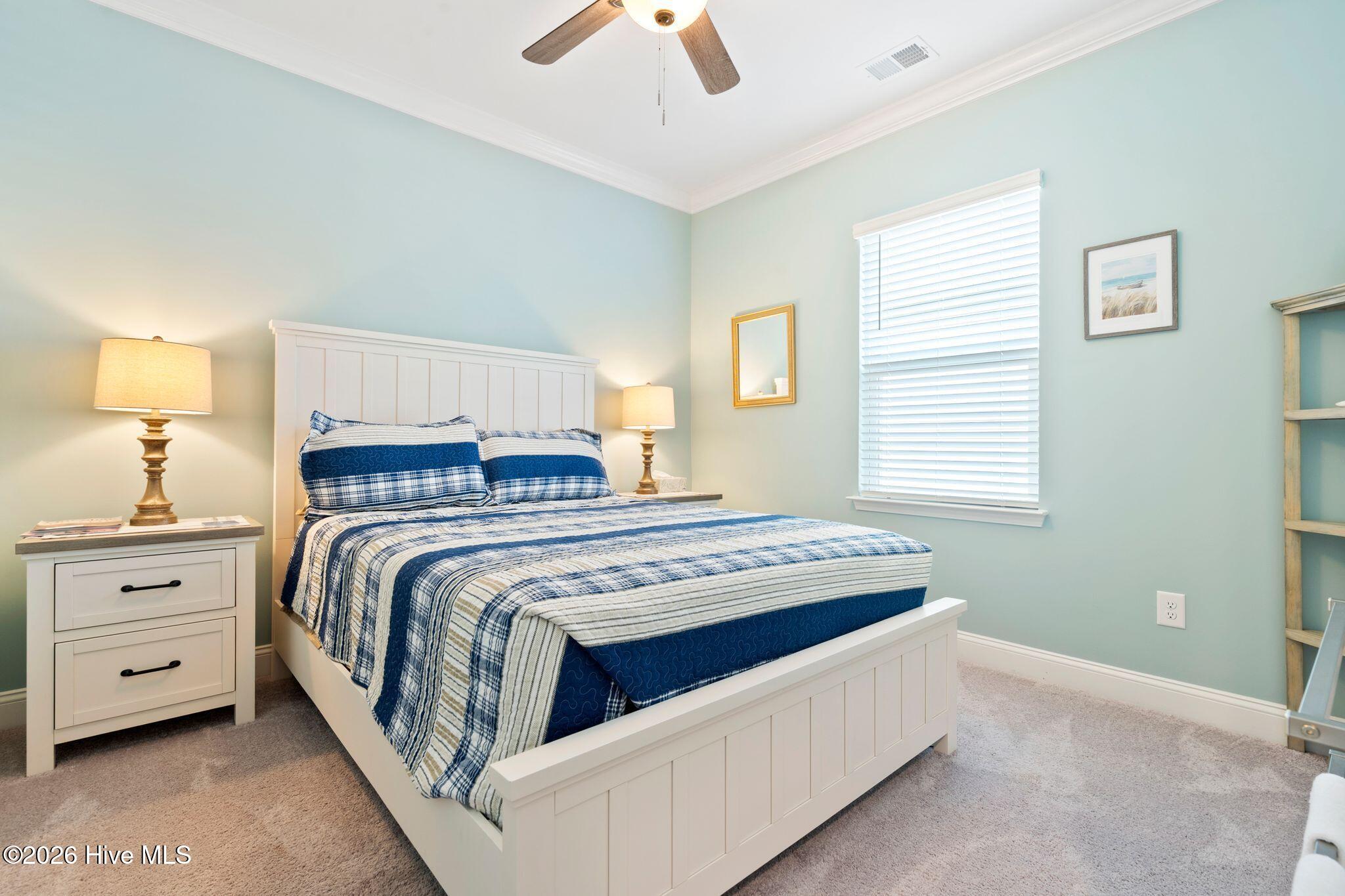 100553867 | Photo 30