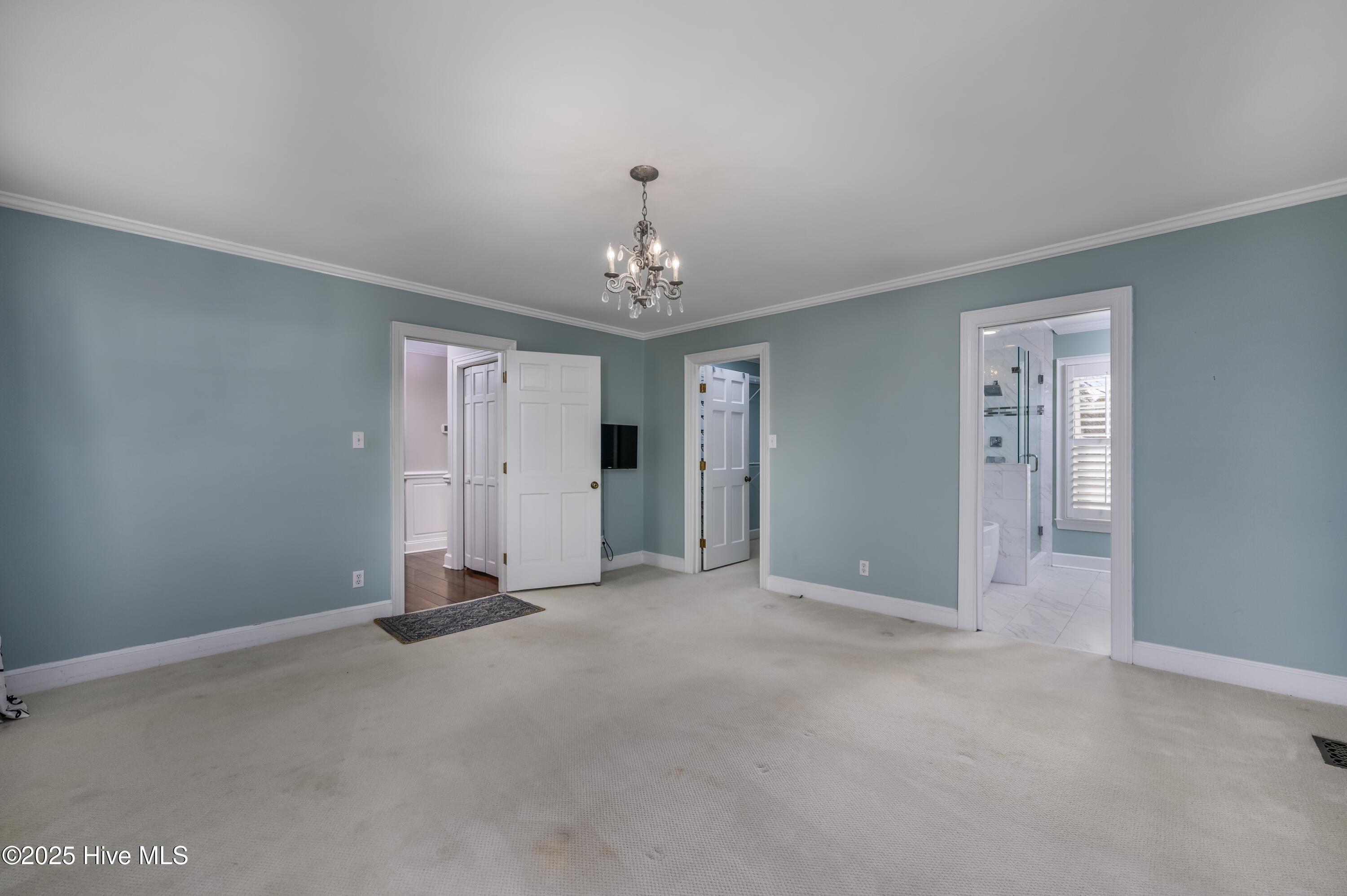 100485107 | Photo 15