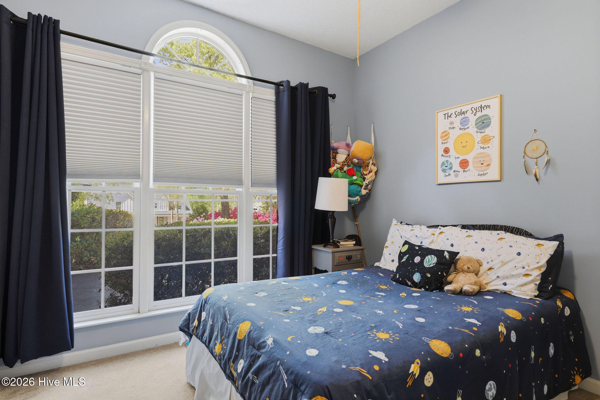 100565672 | Photo 38