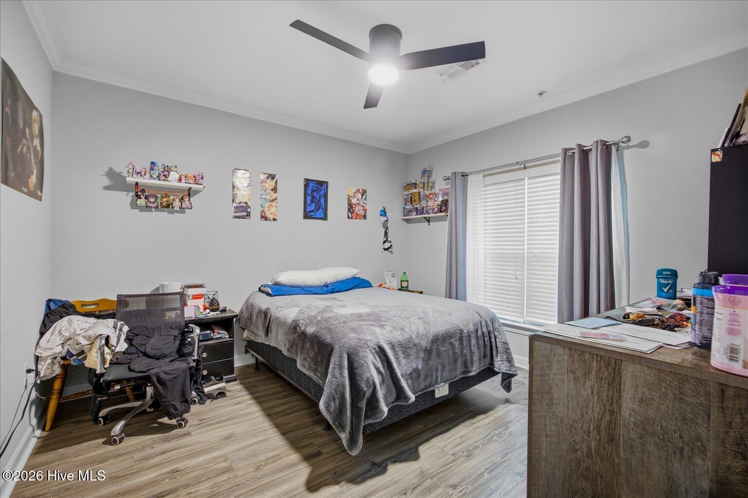 100527168 | Photo 42