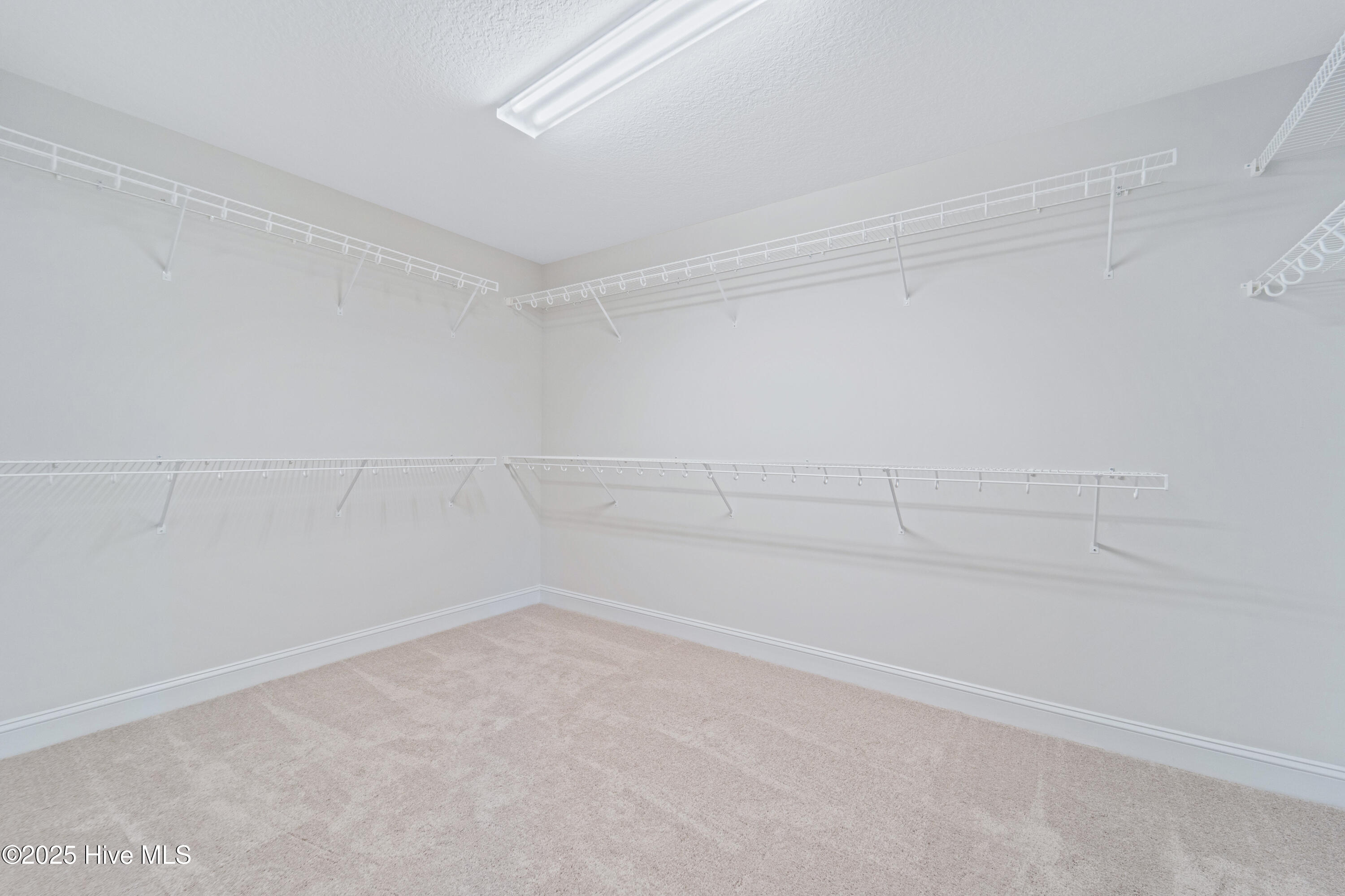 100519651 | Photo 22